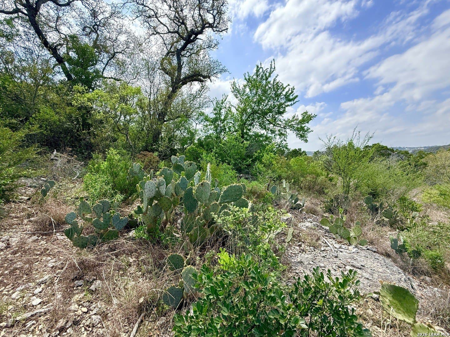 5.6 acres in Bexar County - photo 19