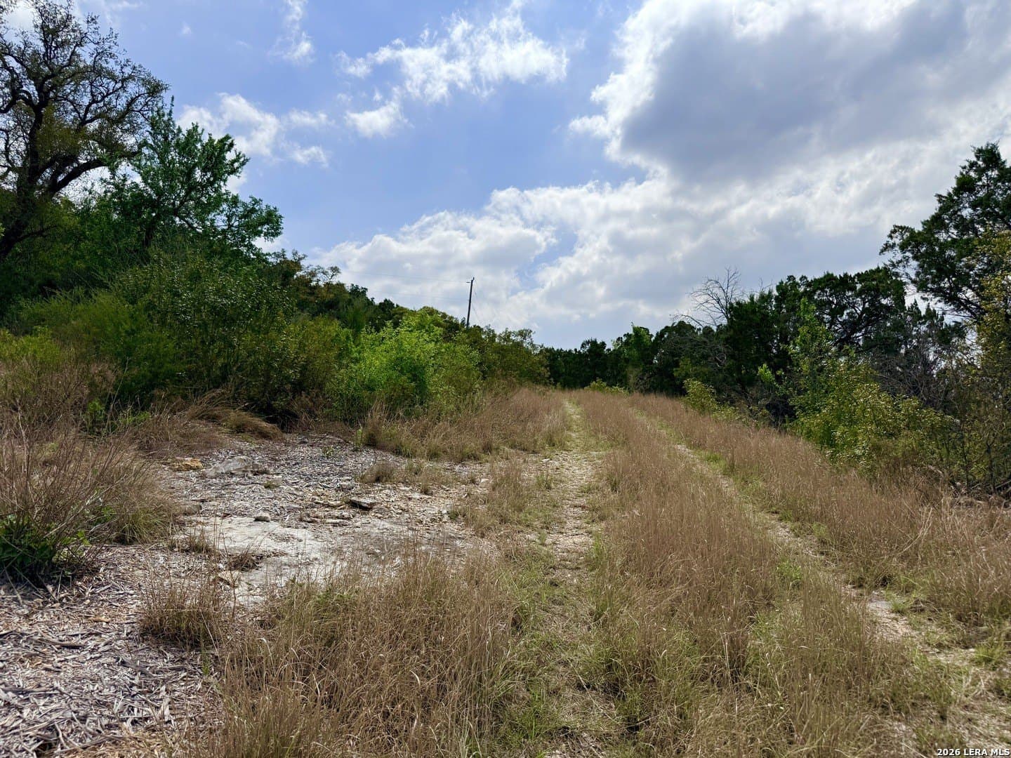 5.6 acres in Bexar County - photo 16