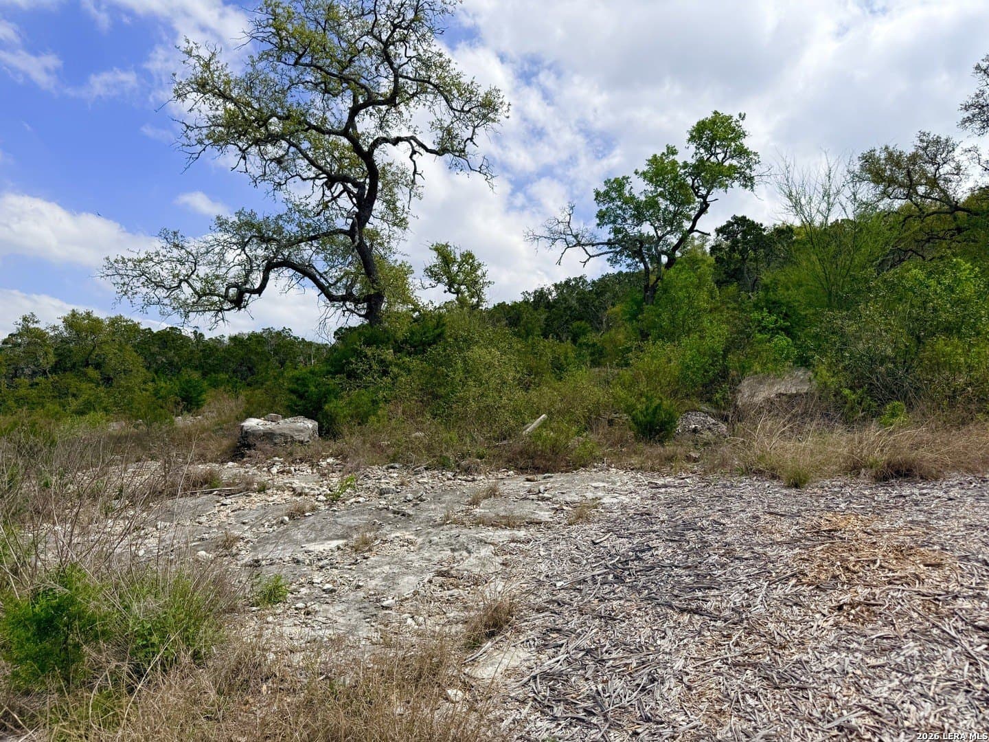 5.6 acres in Bexar County - photo 18