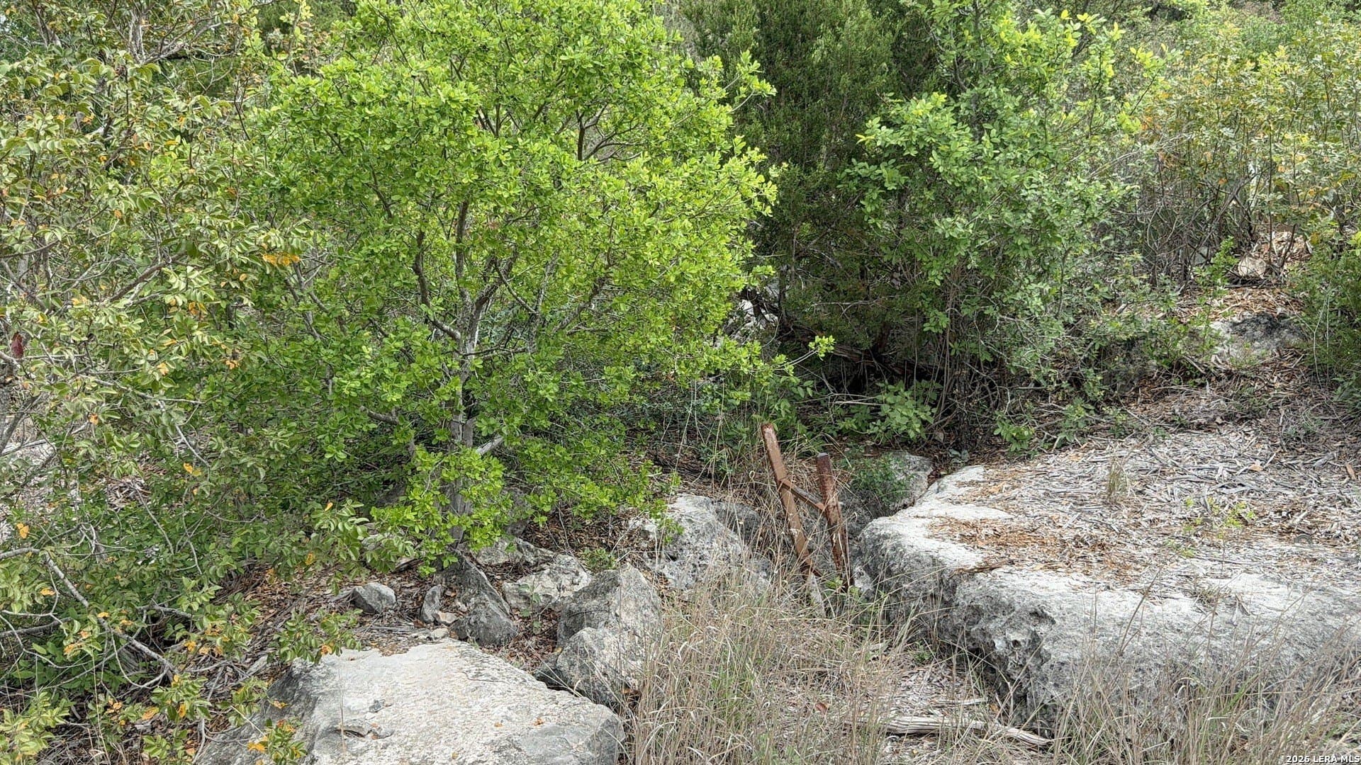 5.6 acres in Bexar County - photo 17