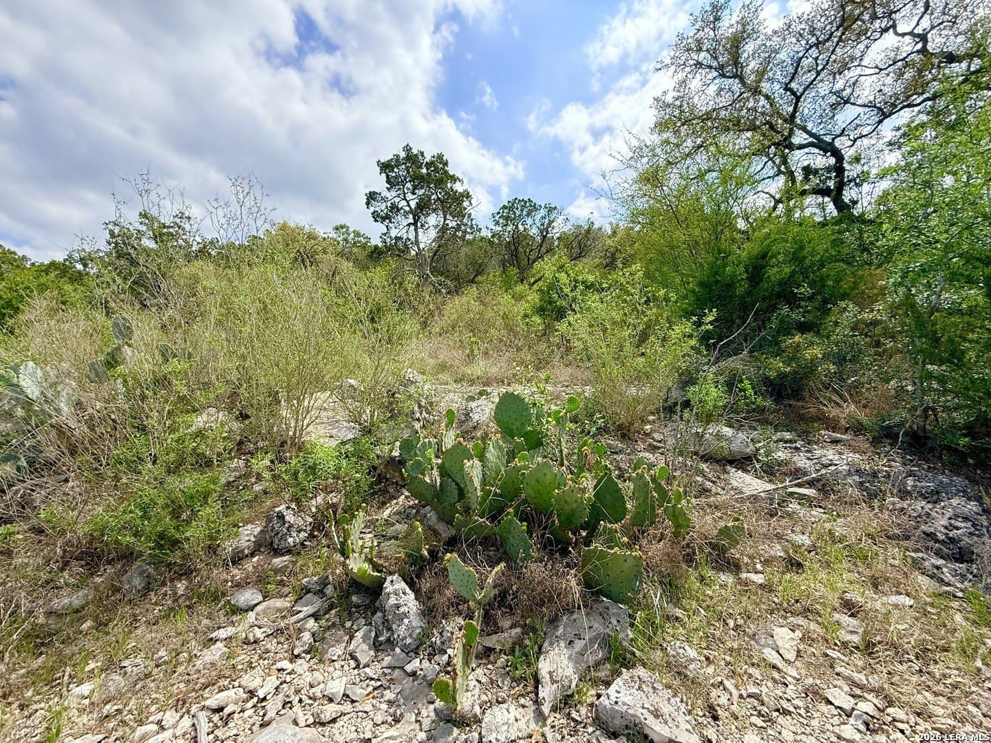 5.6 acres in Bexar County - photo 12