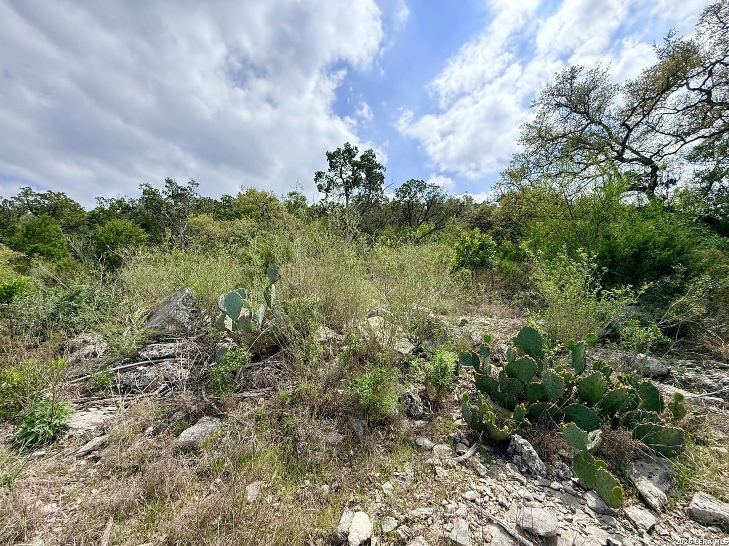 5.6 acres in Bexar County - photo 22