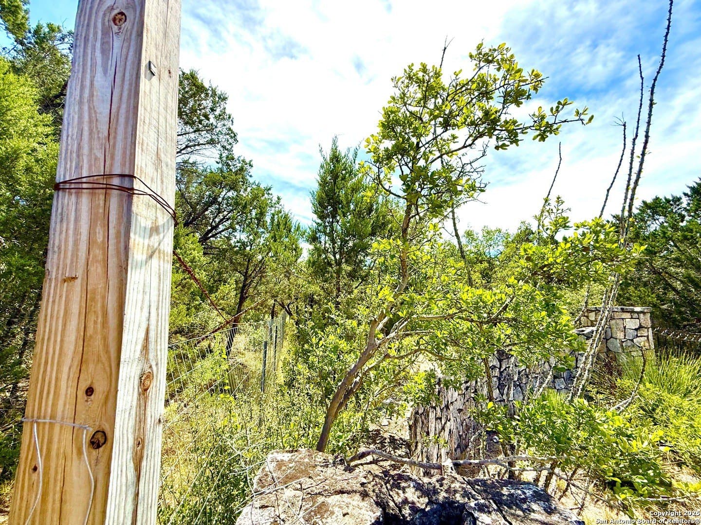 5.6 acres in Bexar County - photo 8