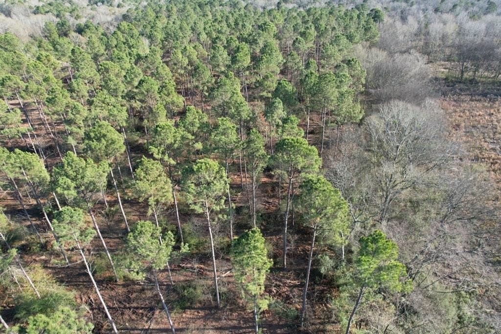 10 acres in Panola County featured view