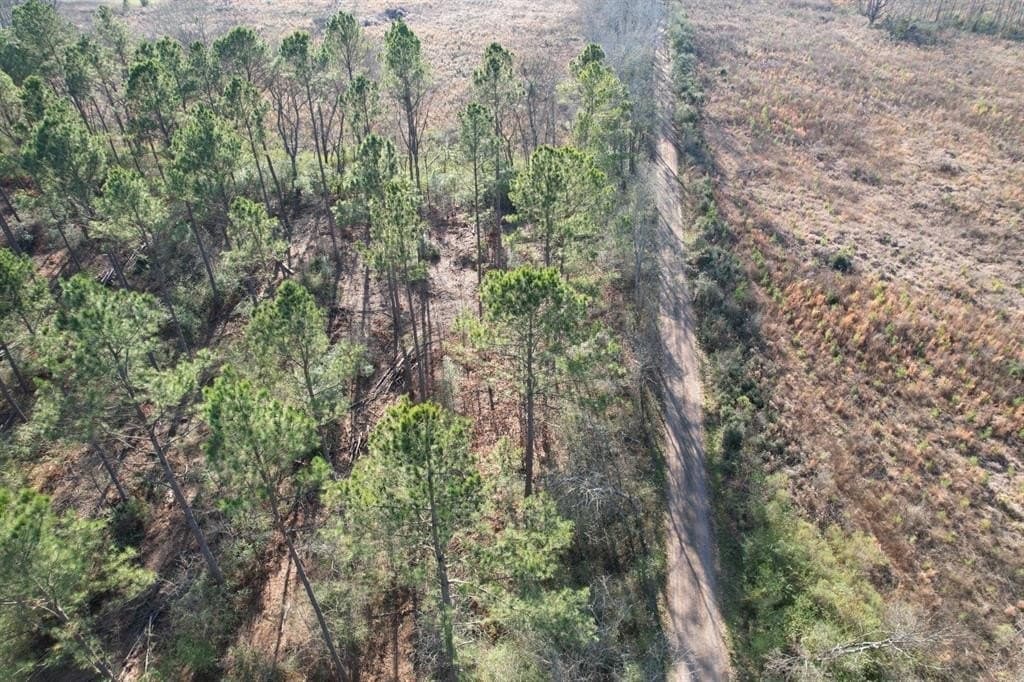 10 acres in Panola County gallery image 4