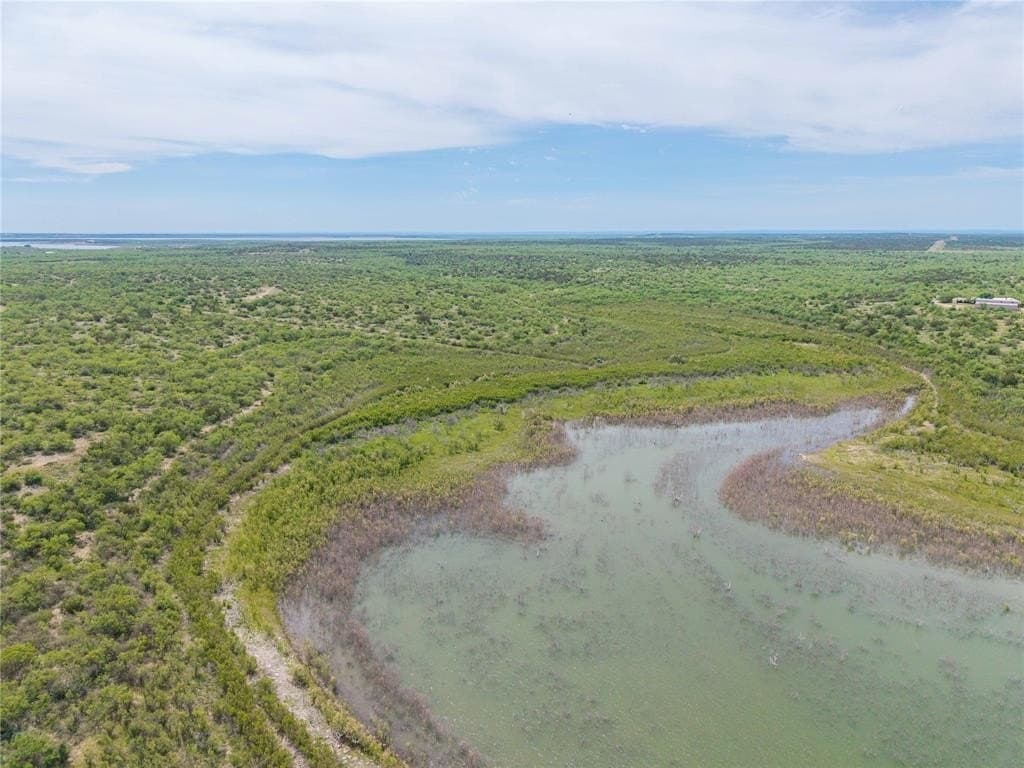 250.2 acres in Concho County gallery image 3