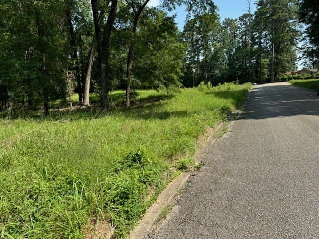 0.52 acres in Texas County gallery image 4