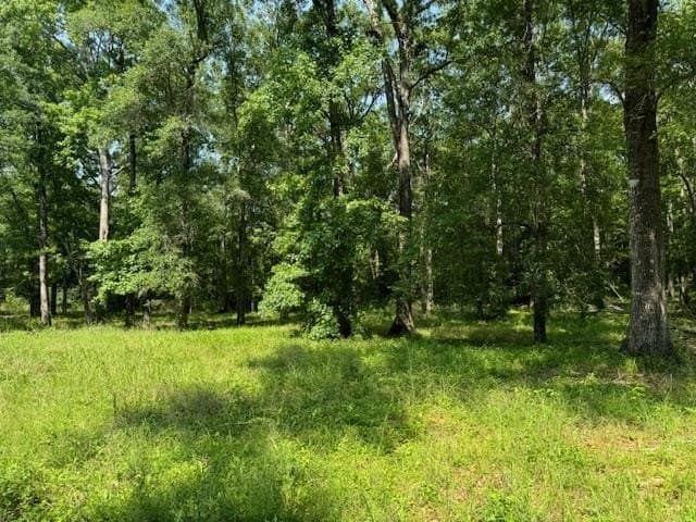 0.52 acres in Texas County