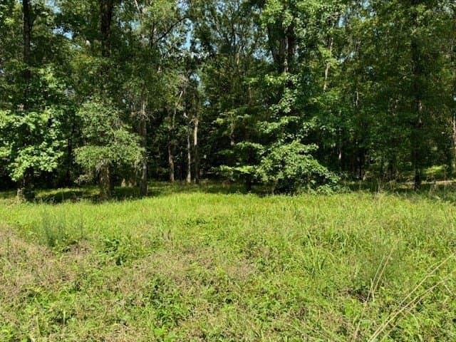 0.52 acres in Texas County gallery image 3