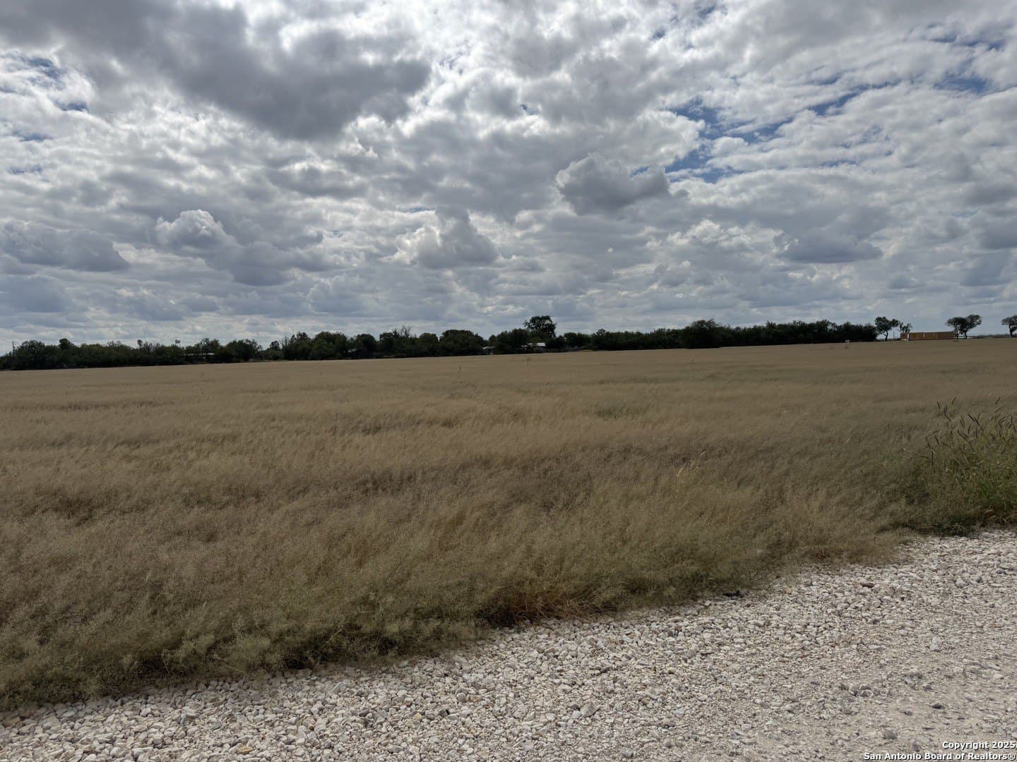 5.89 acres in Zavala County - photo 3