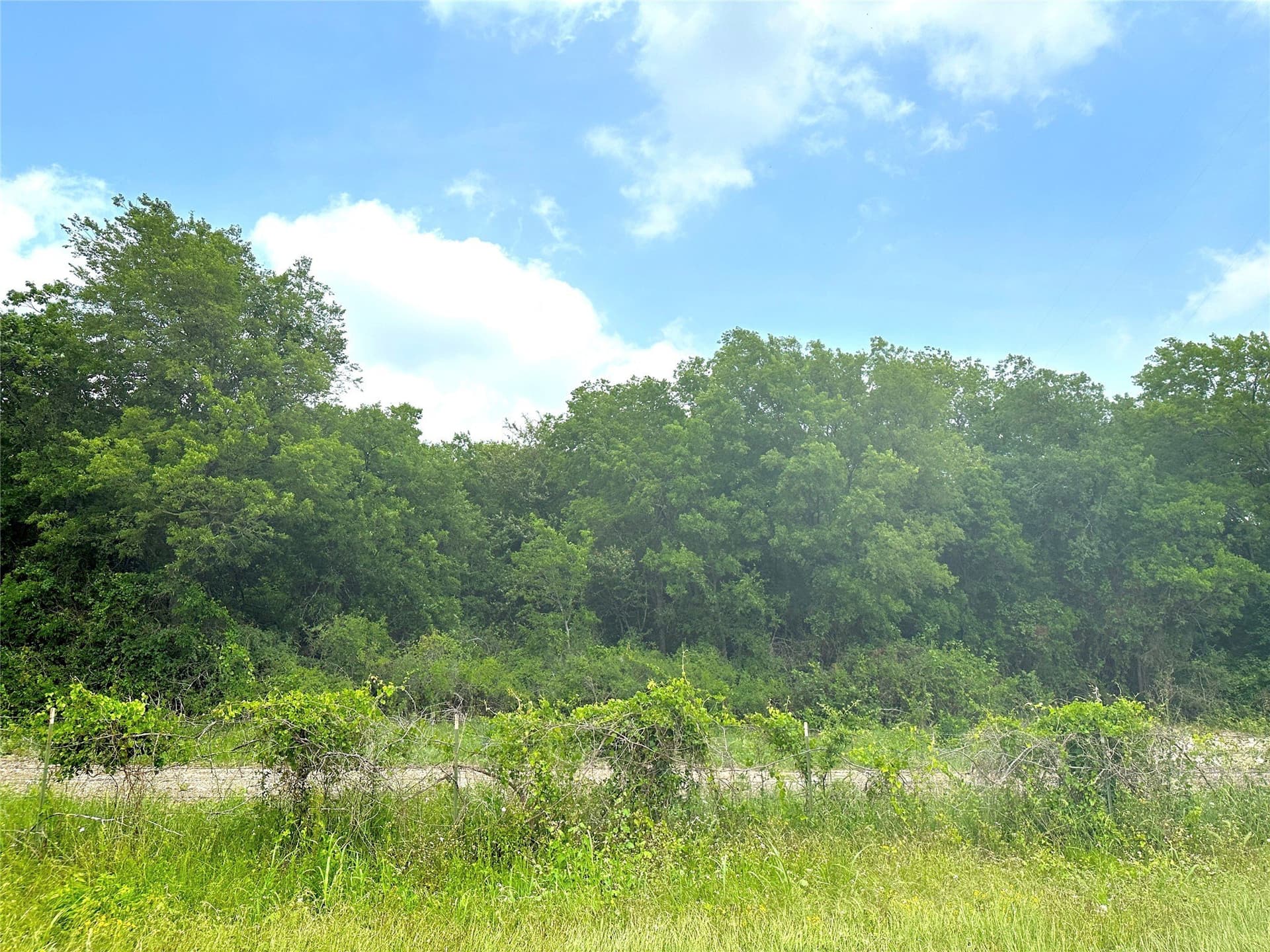 13.2 acres in McLennan County - photo 11