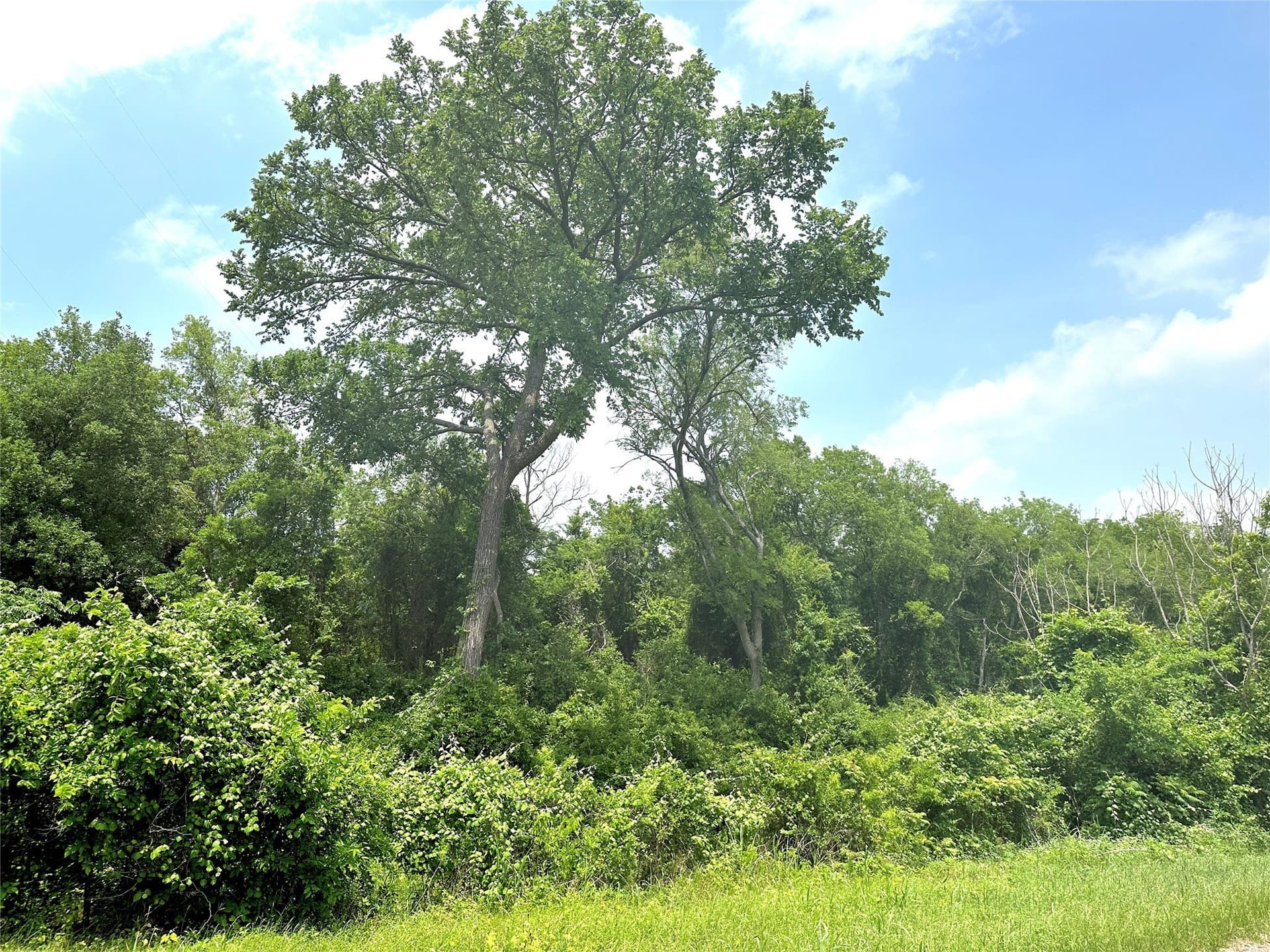 13.2 acres in McLennan County - photo 14