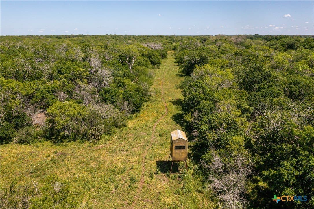 396.84 acres in Karnes County - photo 16