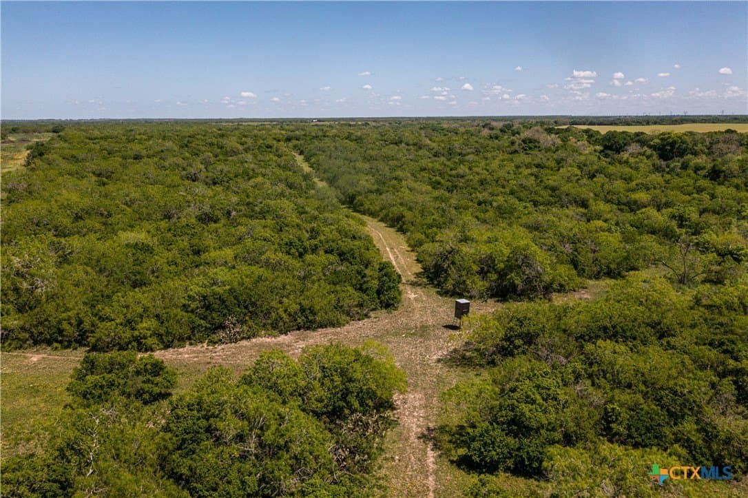 396.84 acres in Karnes County - photo 17