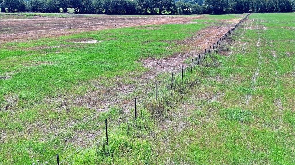 49.18 acres in Montague County gallery image 4