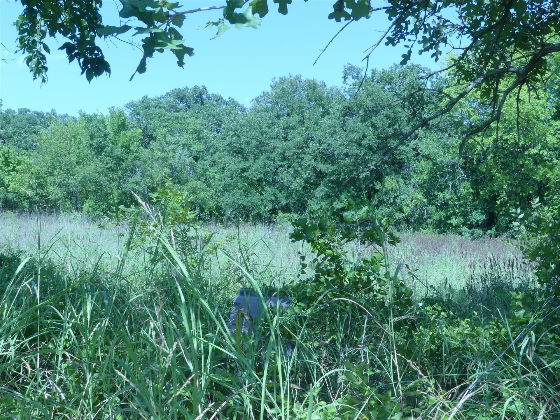 29.76 acres in Montague County - photo 19