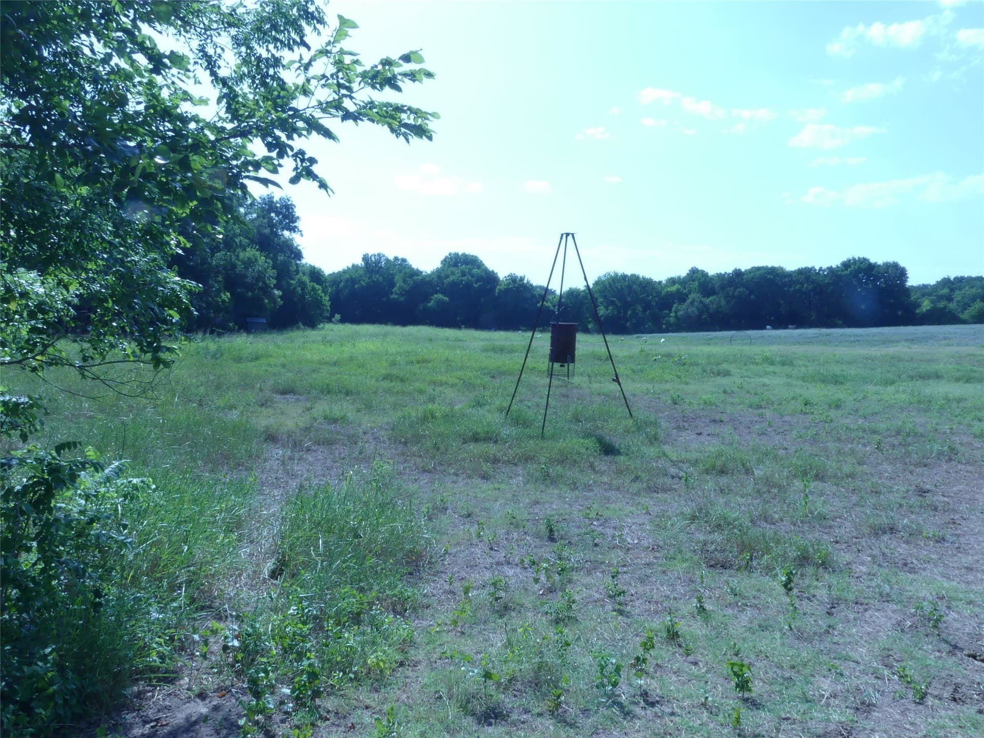29.76 acres in Montague County - photo 31