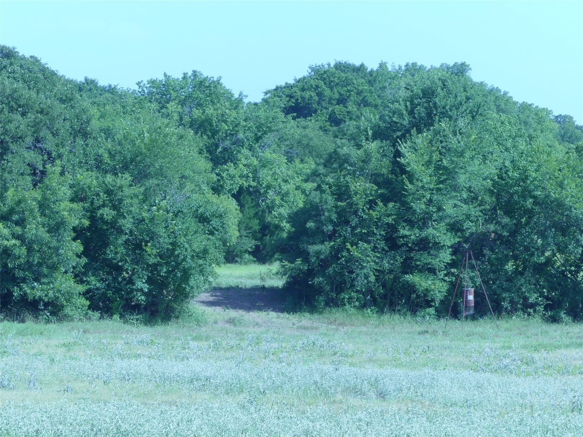 29.76 acres in Montague County - photo 12