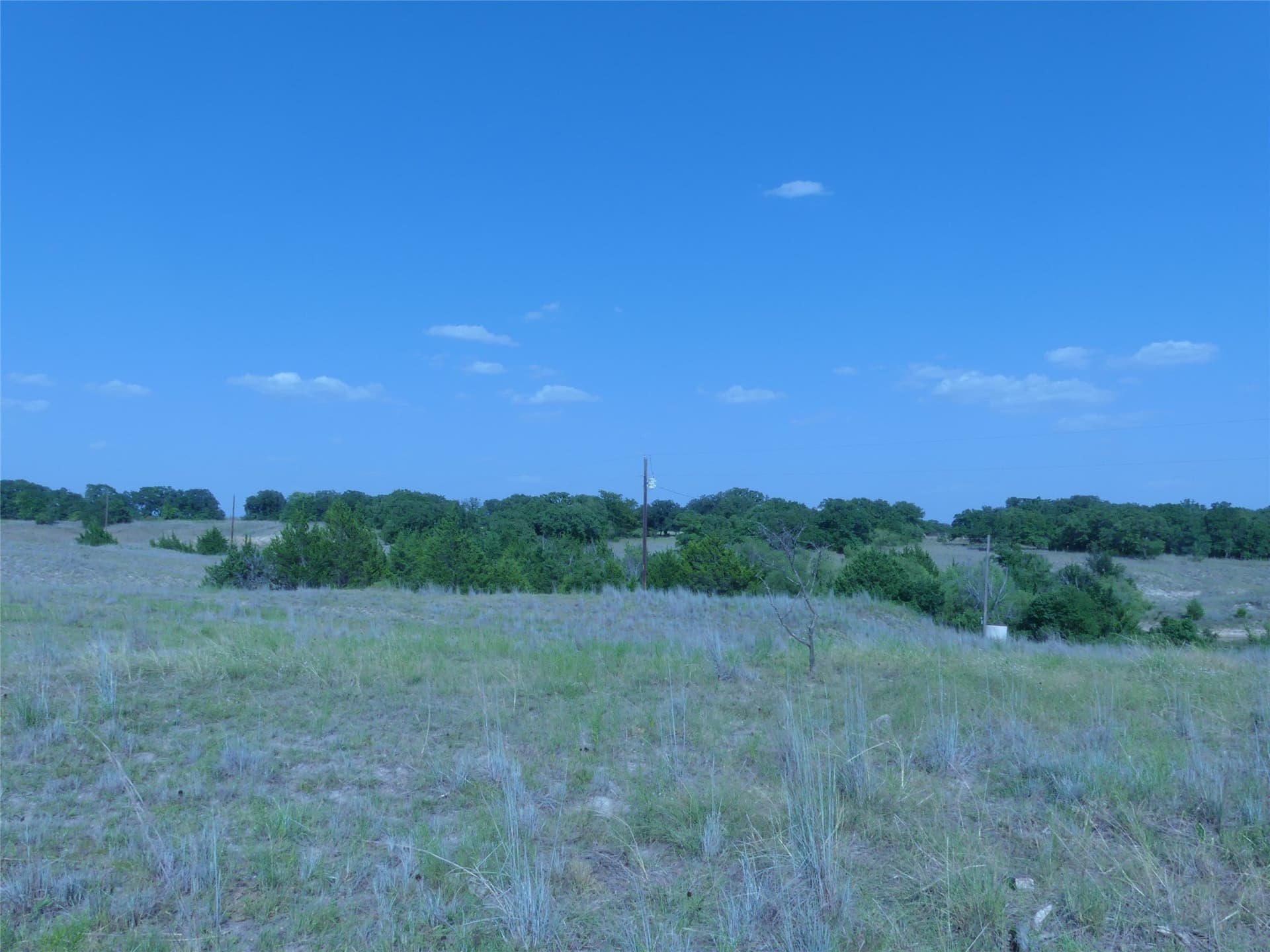 29.76 acres in Montague County - photo 34