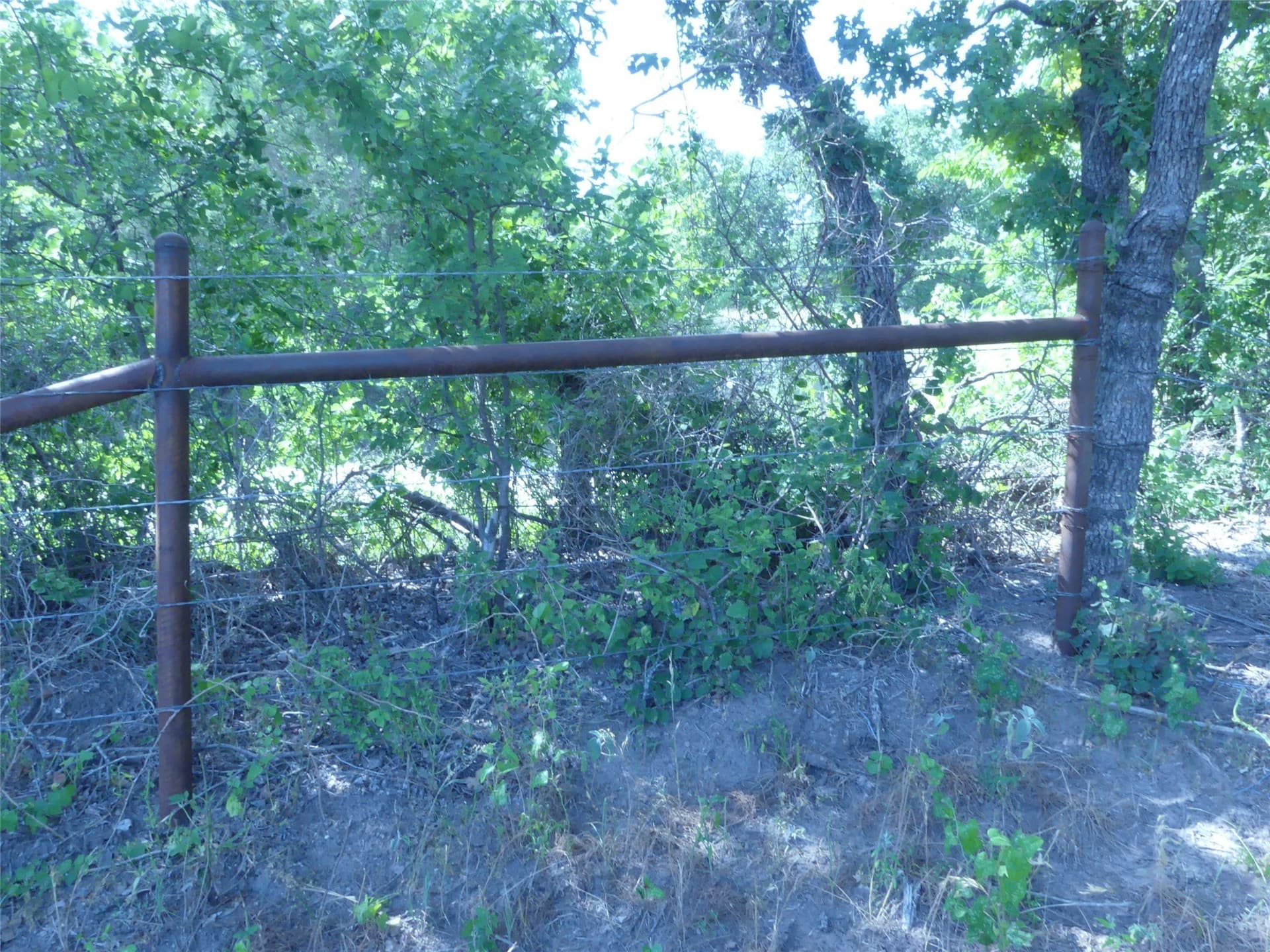 29.76 acres in Montague County - photo 8