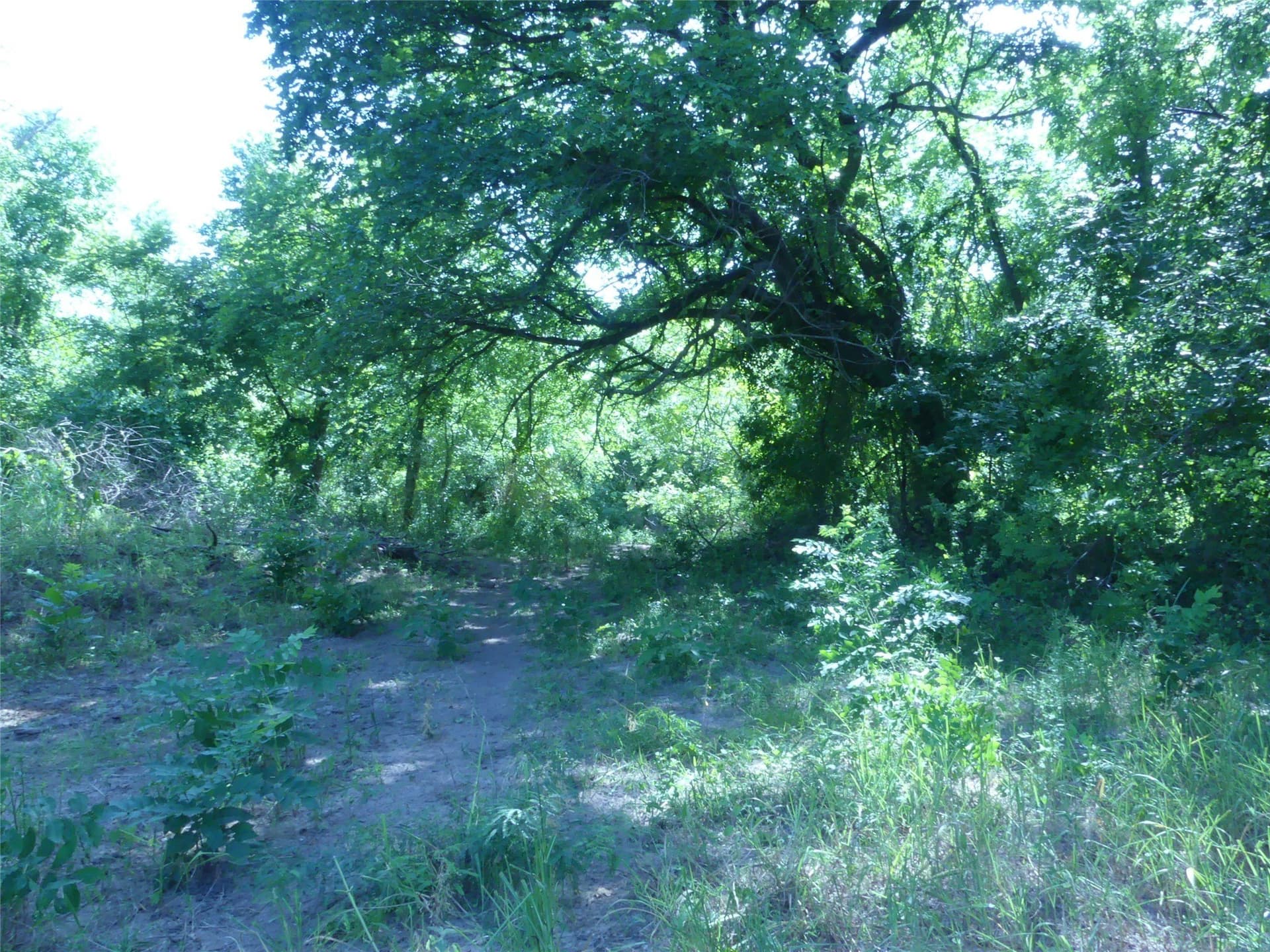 29.76 acres in Montague County - photo 5