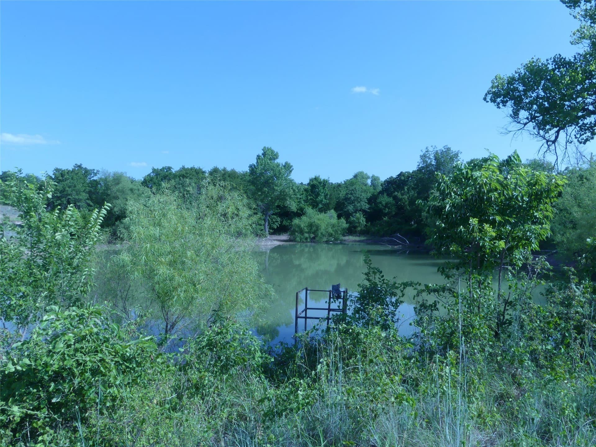 29.76 acres in Montague County - photo 38