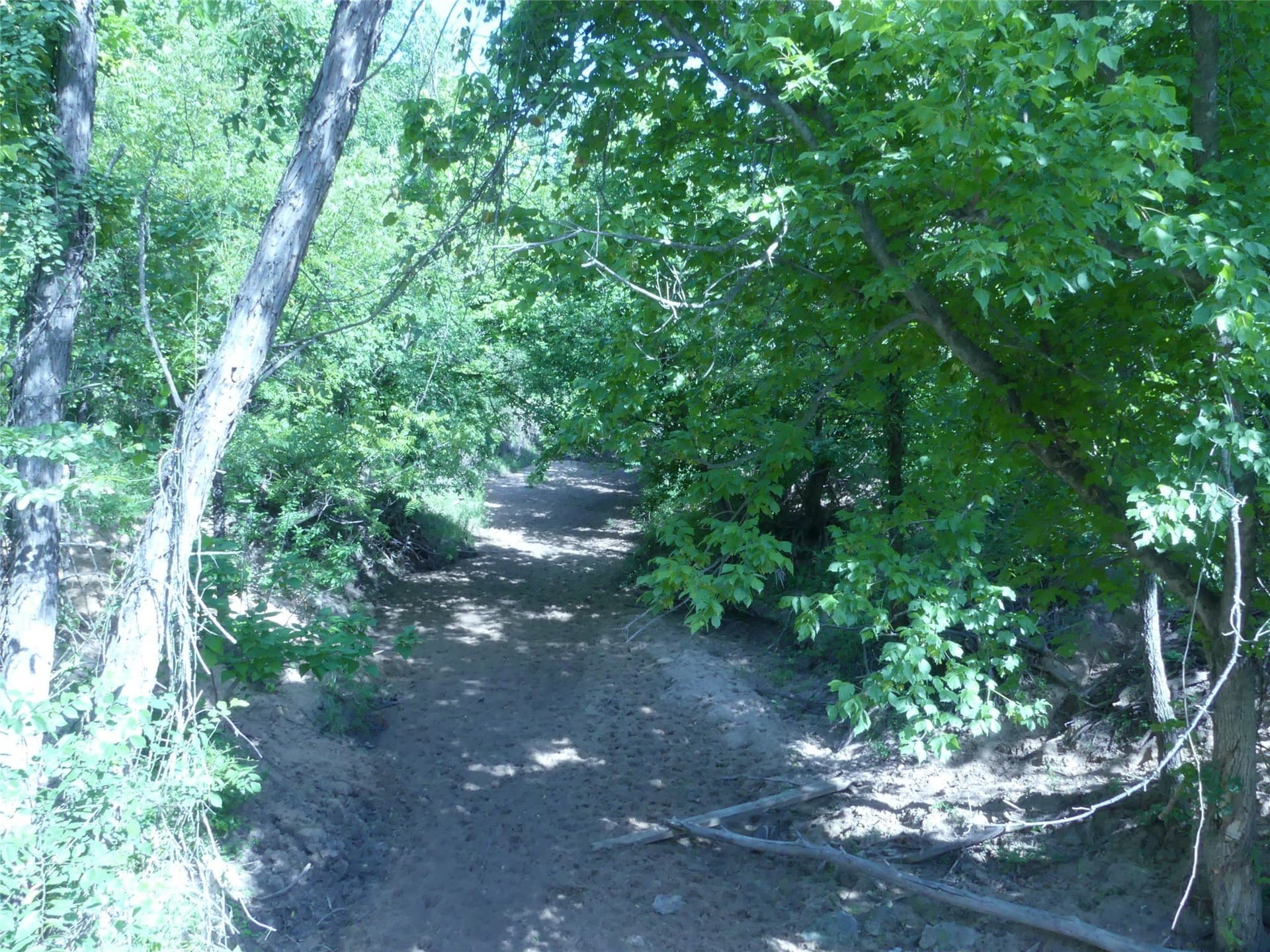 29.76 acres in Montague County - photo 4