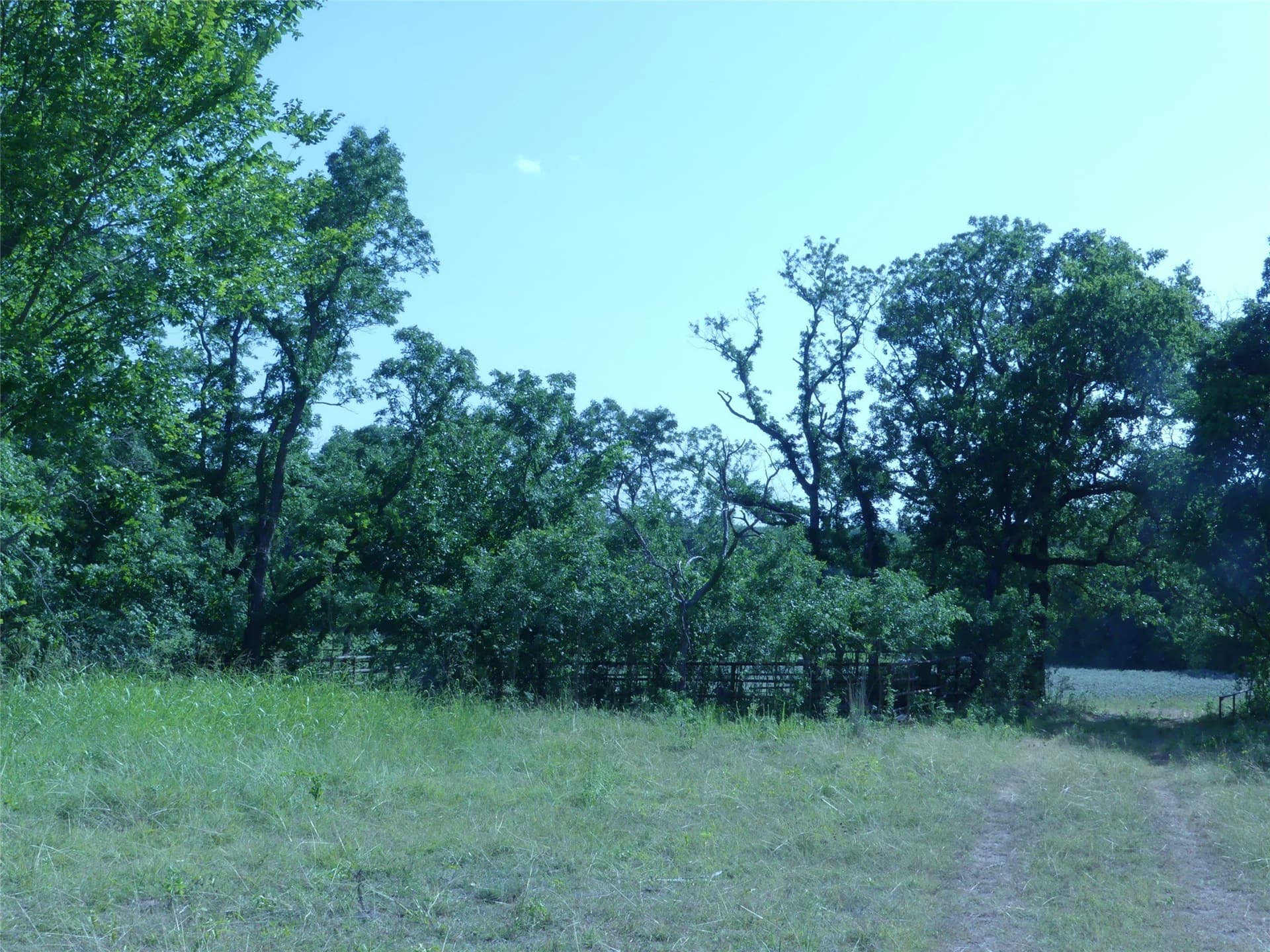 29.76 acres in Montague County - photo 17