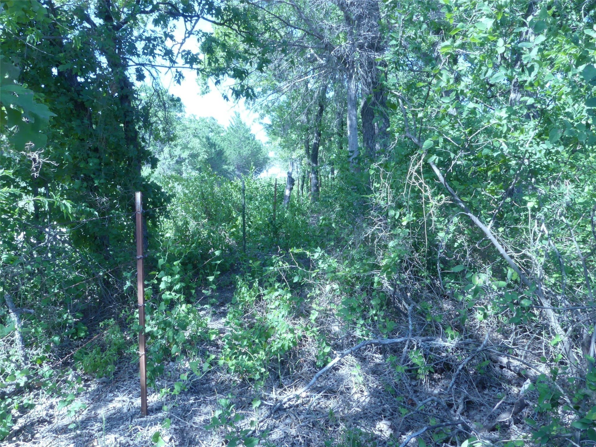29.76 acres in Montague County - photo 9