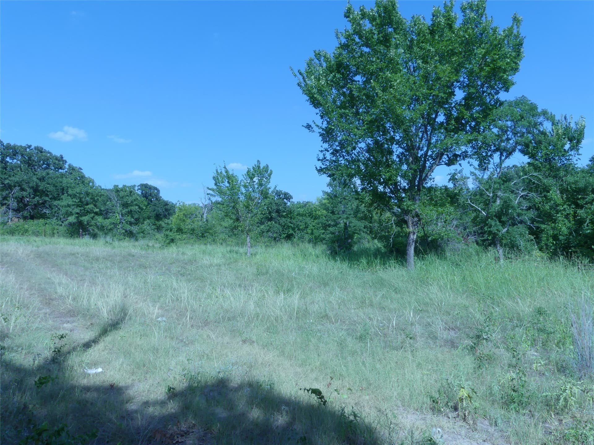 29.76 acres in Montague County - photo 16