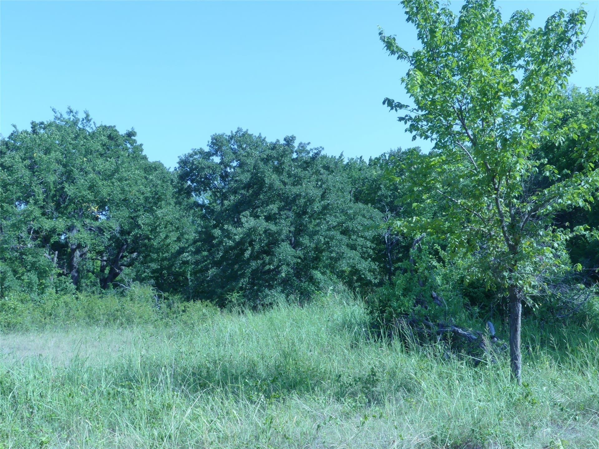 29.76 acres in Montague County - photo 18