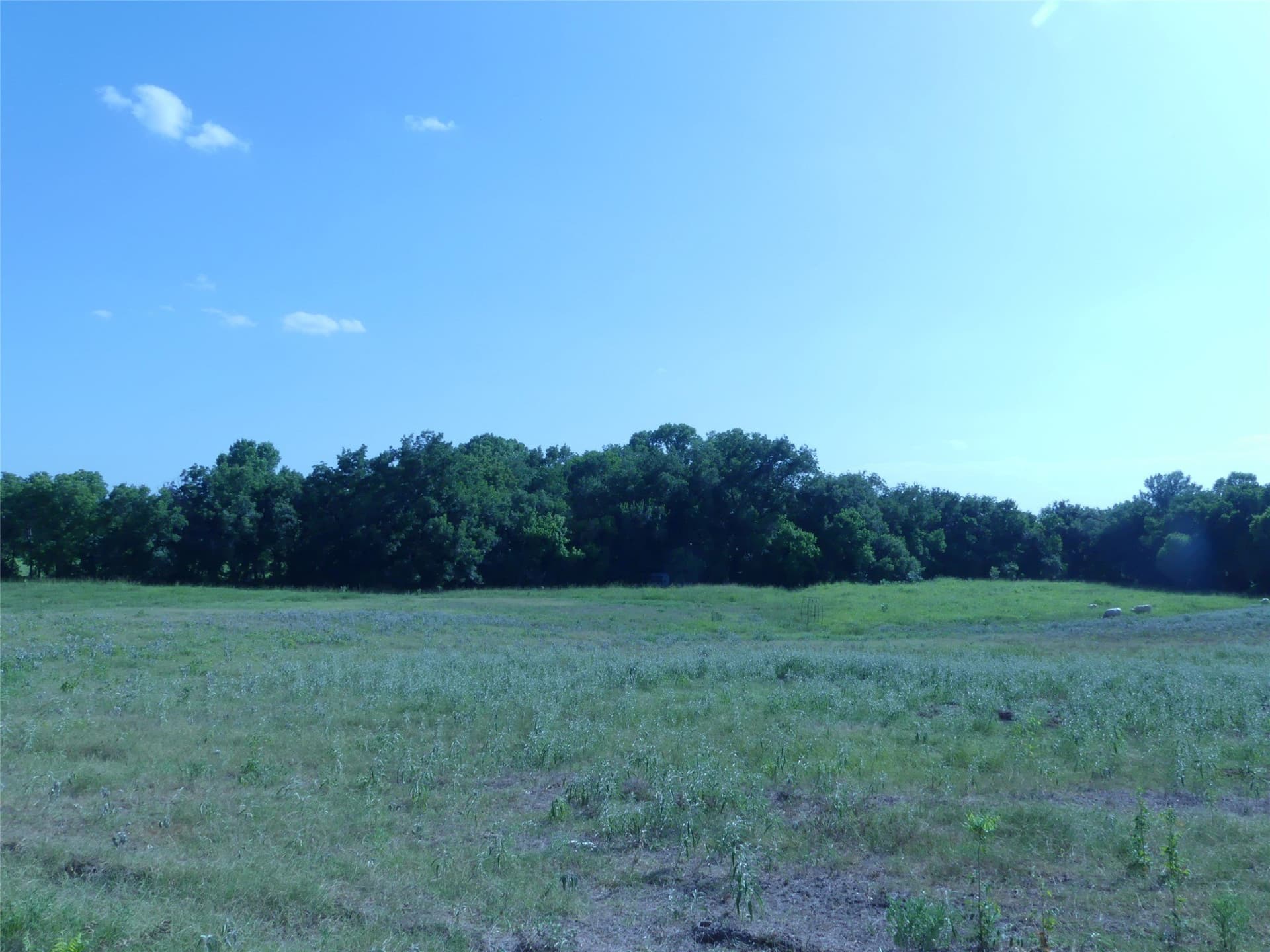 29.76 acres in Montague County - photo 27