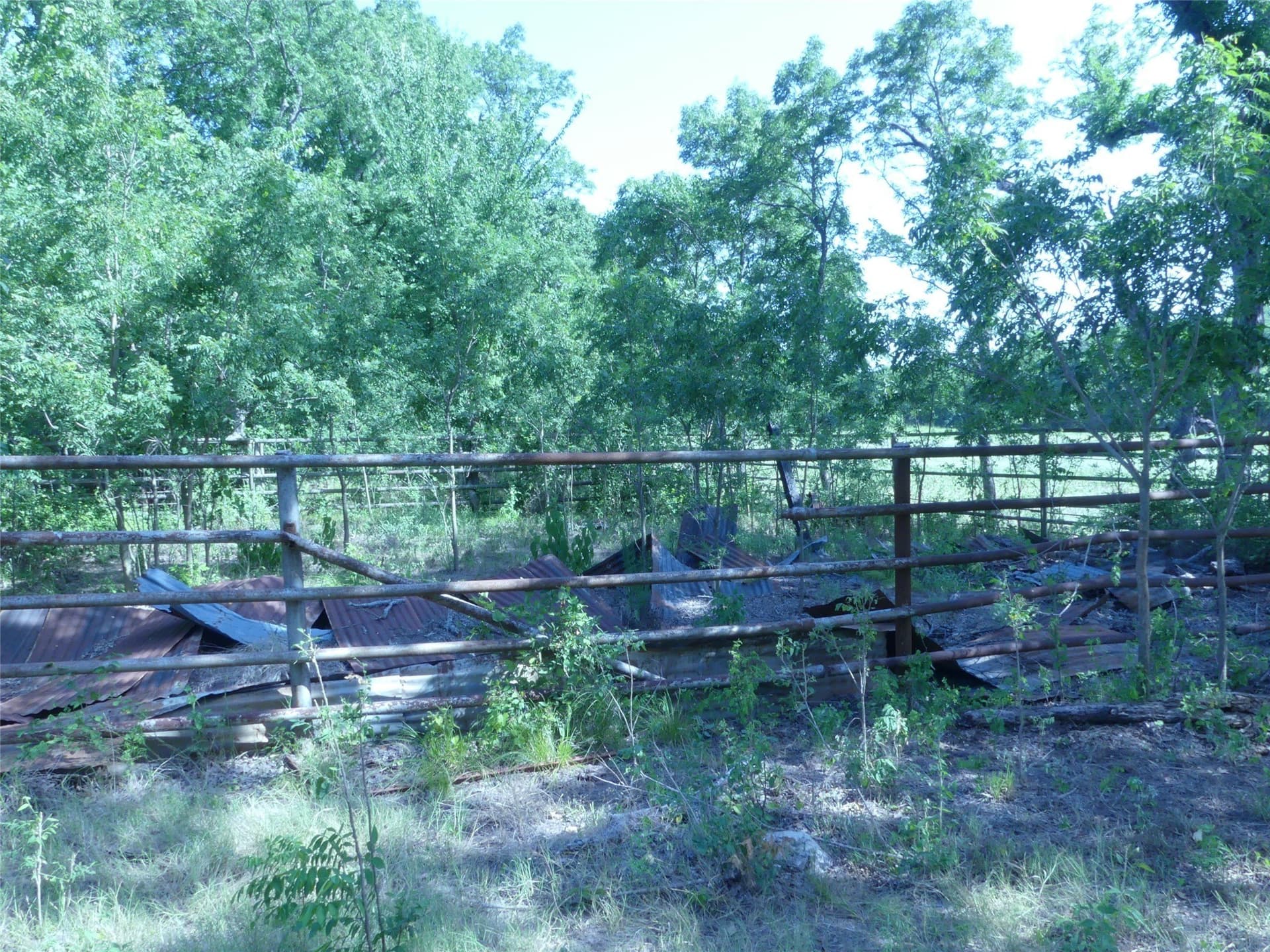 29.76 acres in Montague County - photo 14