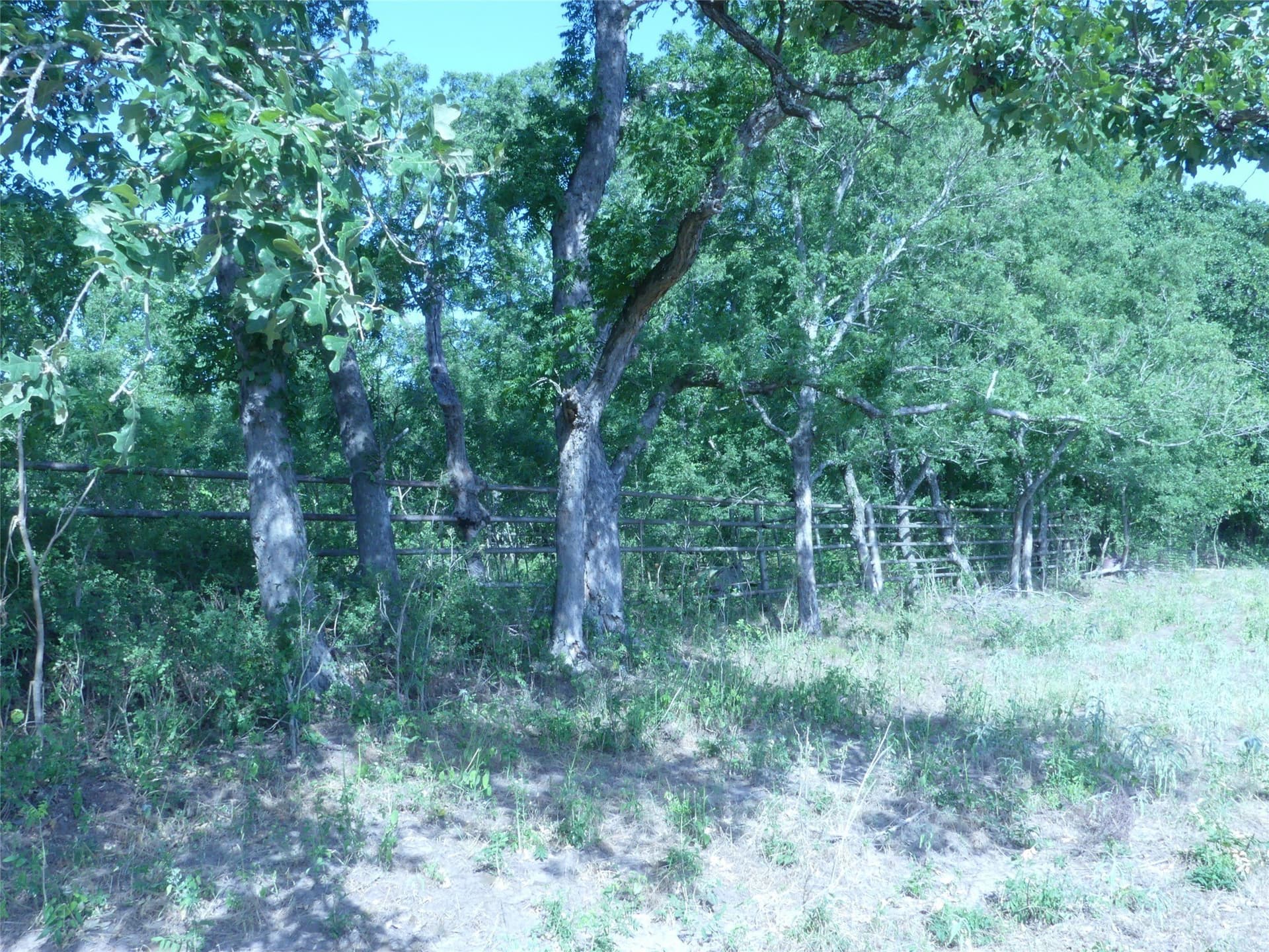 29.76 acres in Montague County - photo 13