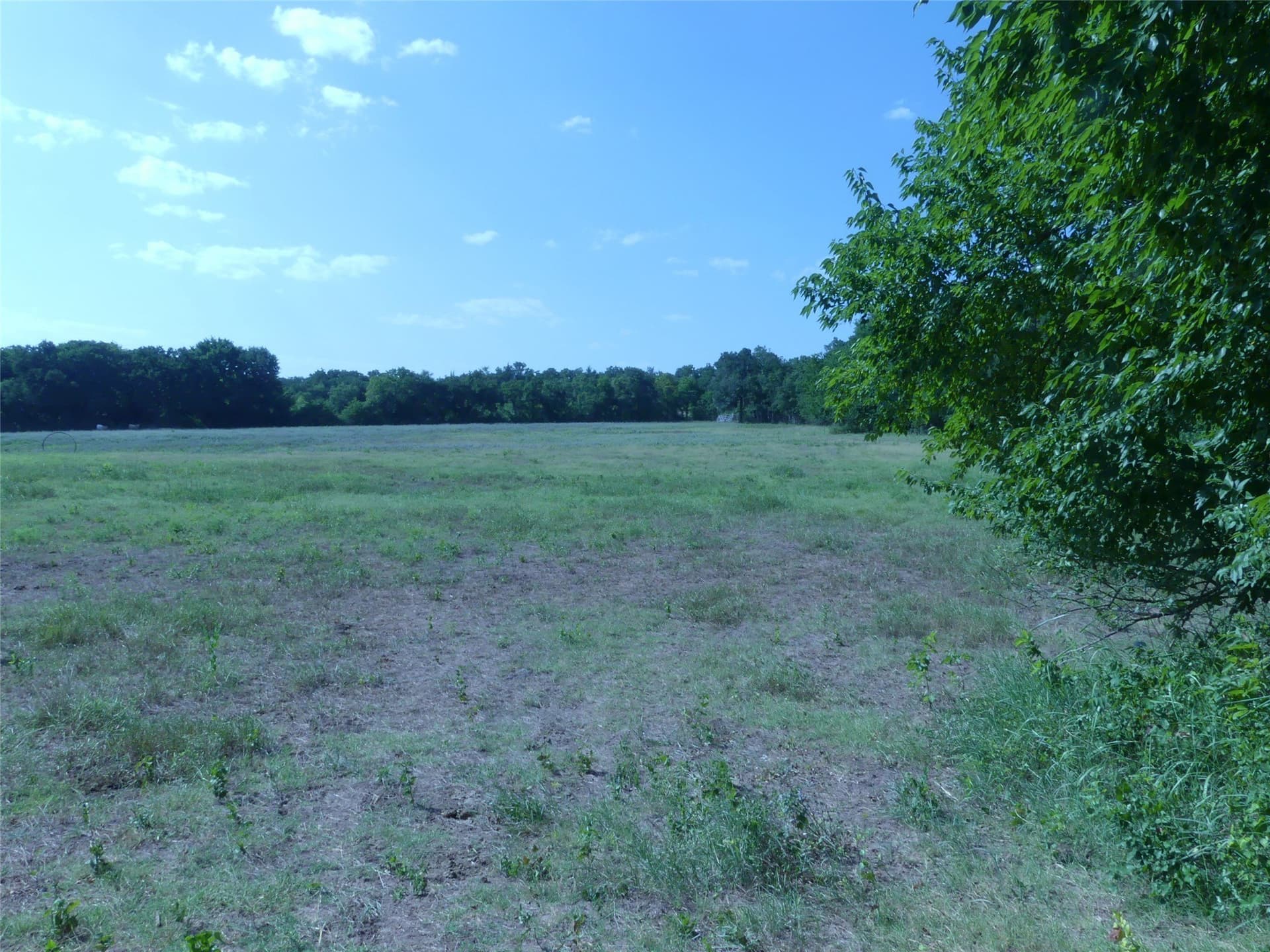 29.76 acres in Montague County - photo 32