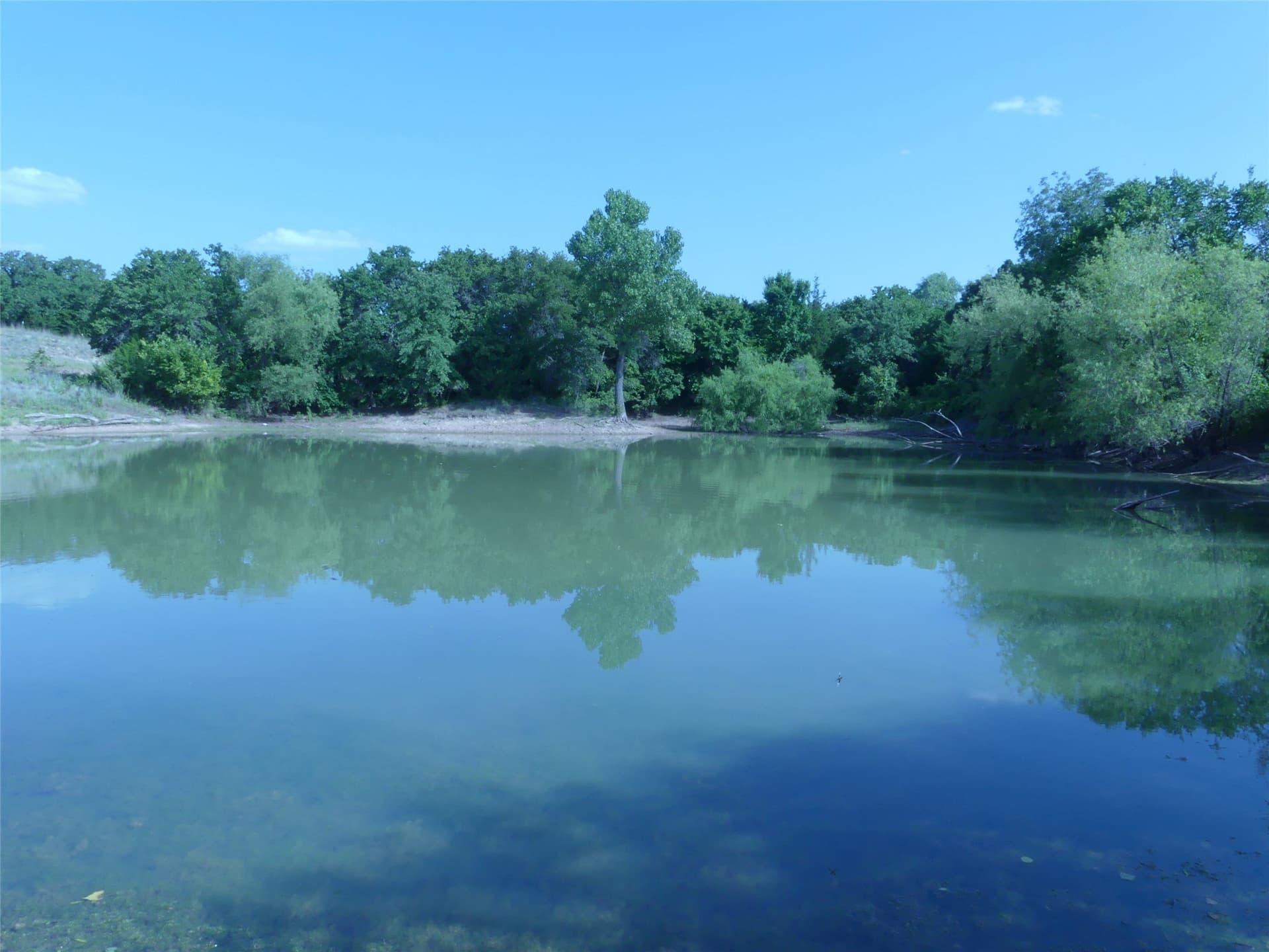 29.76 acres in Montague County