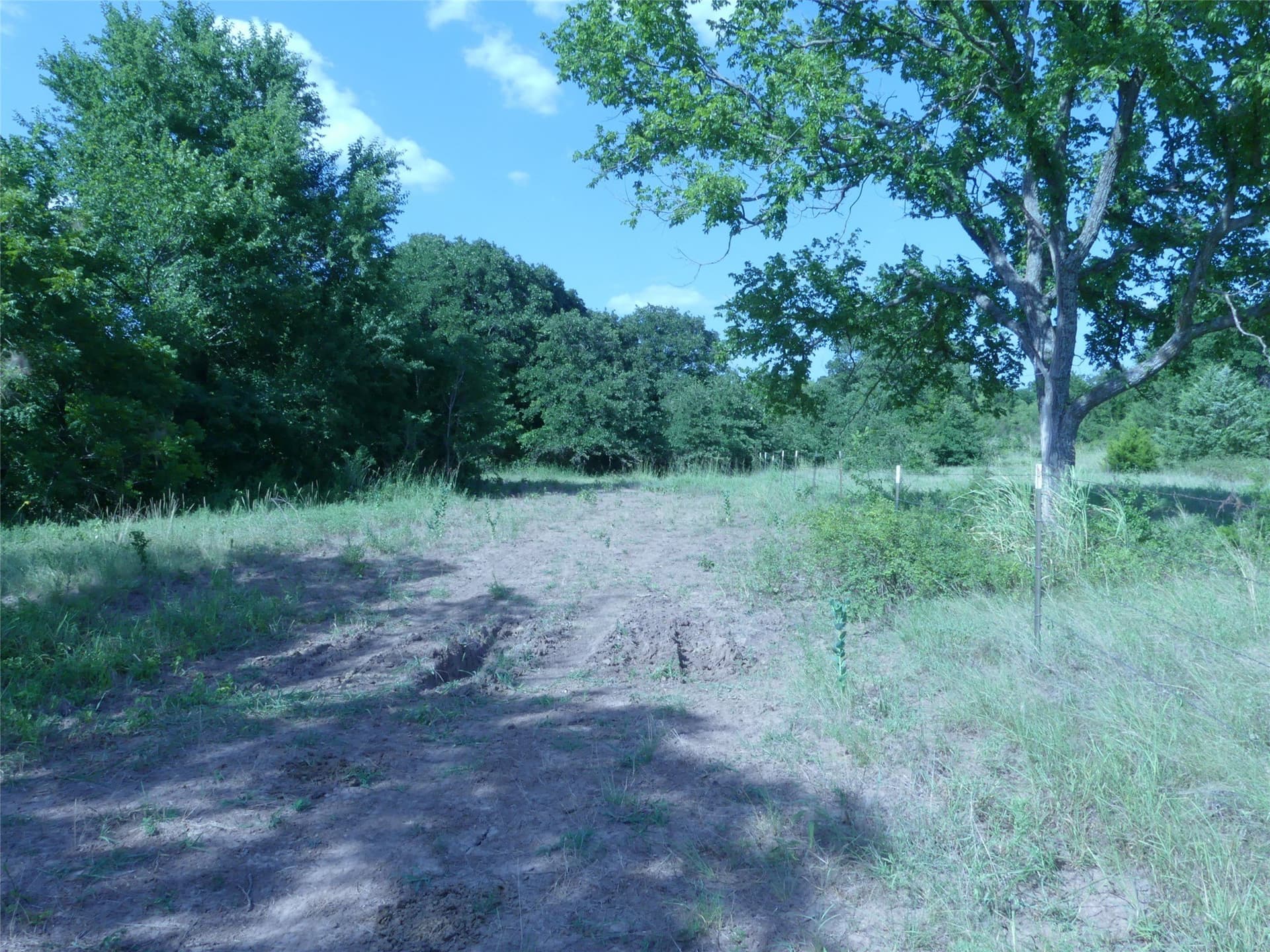 29.76 acres in Montague County - photo 30