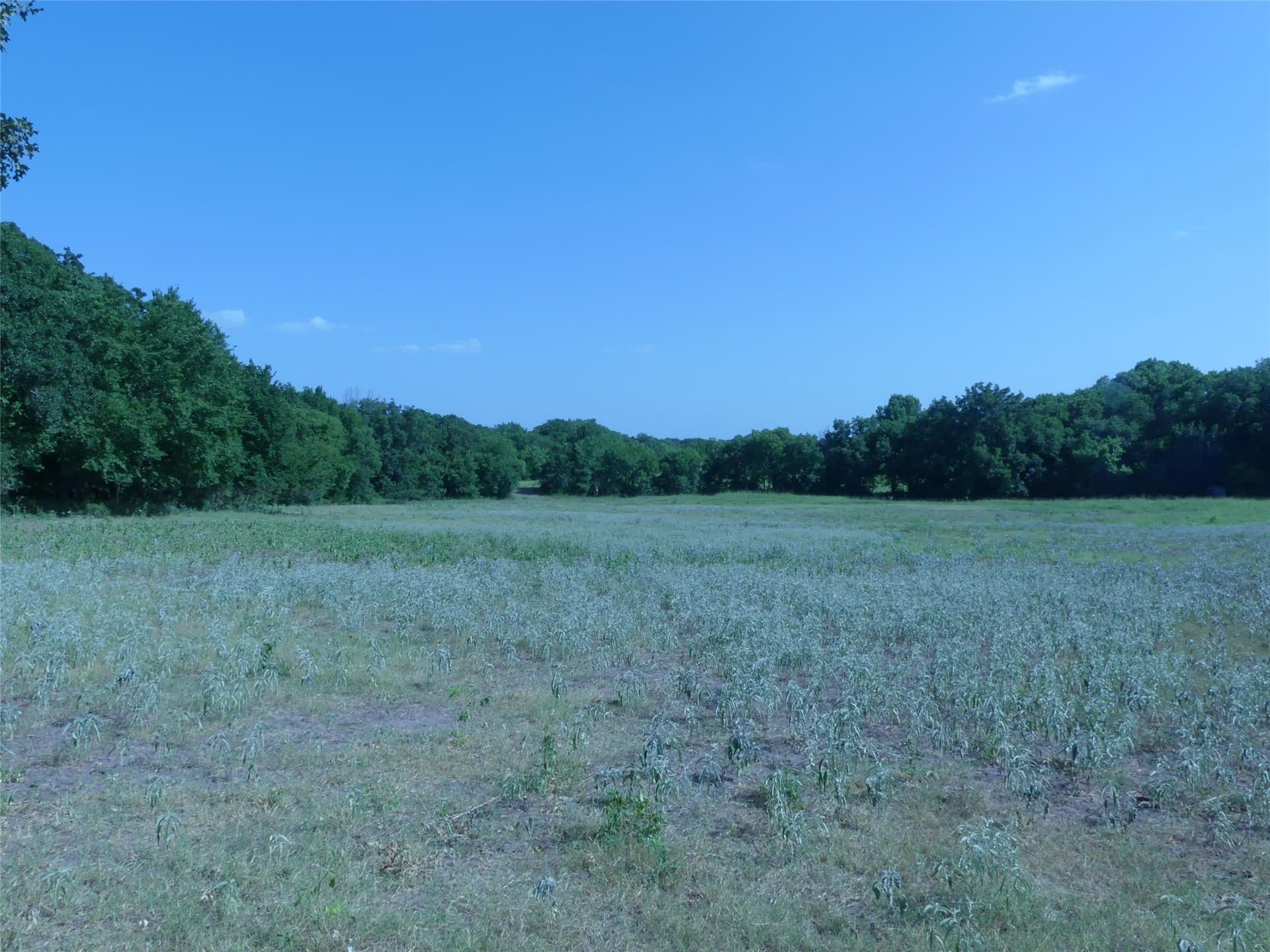 29.76 acres in Montague County - photo 10