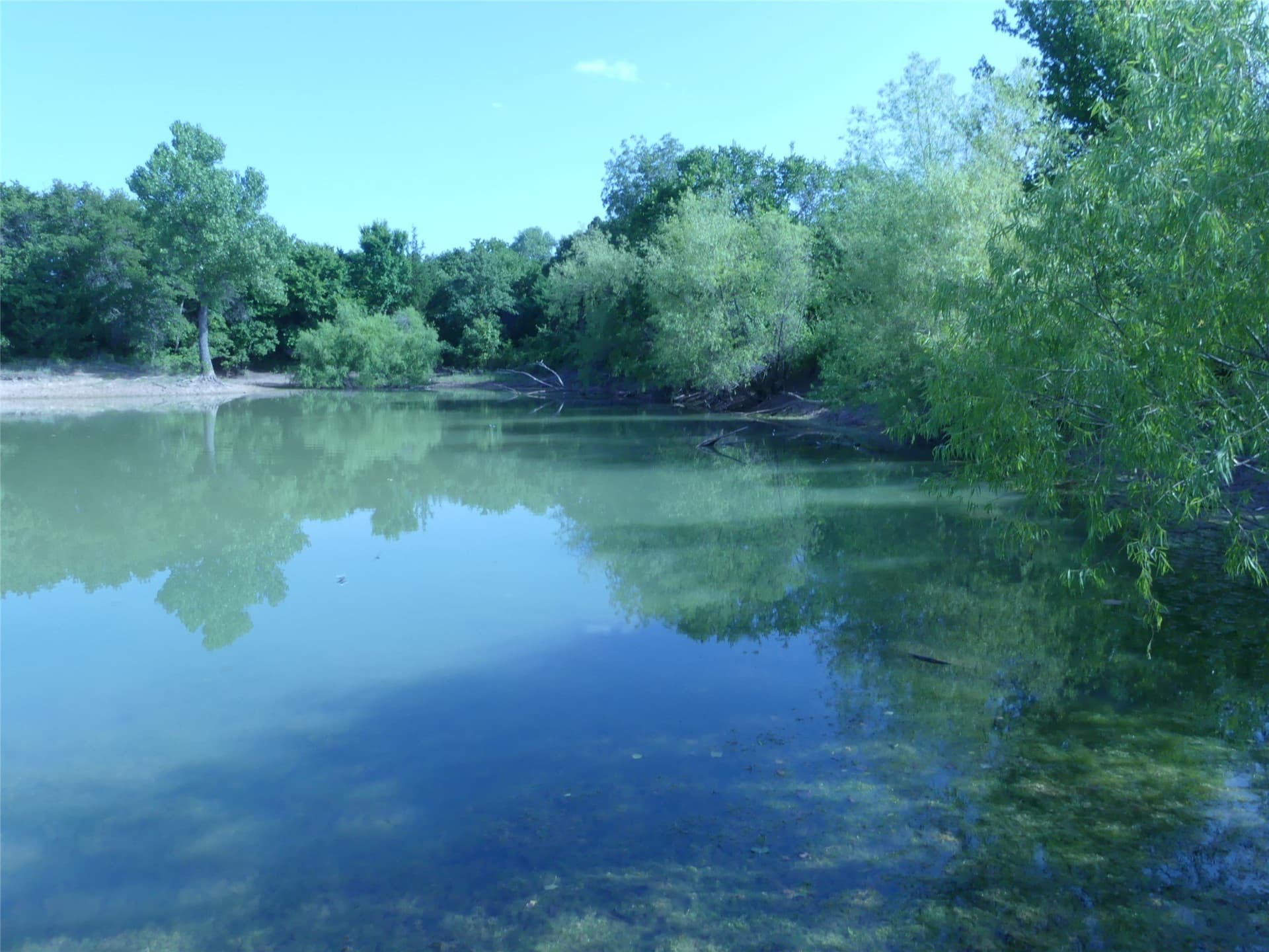 29.76 acres in Montague County - photo 39