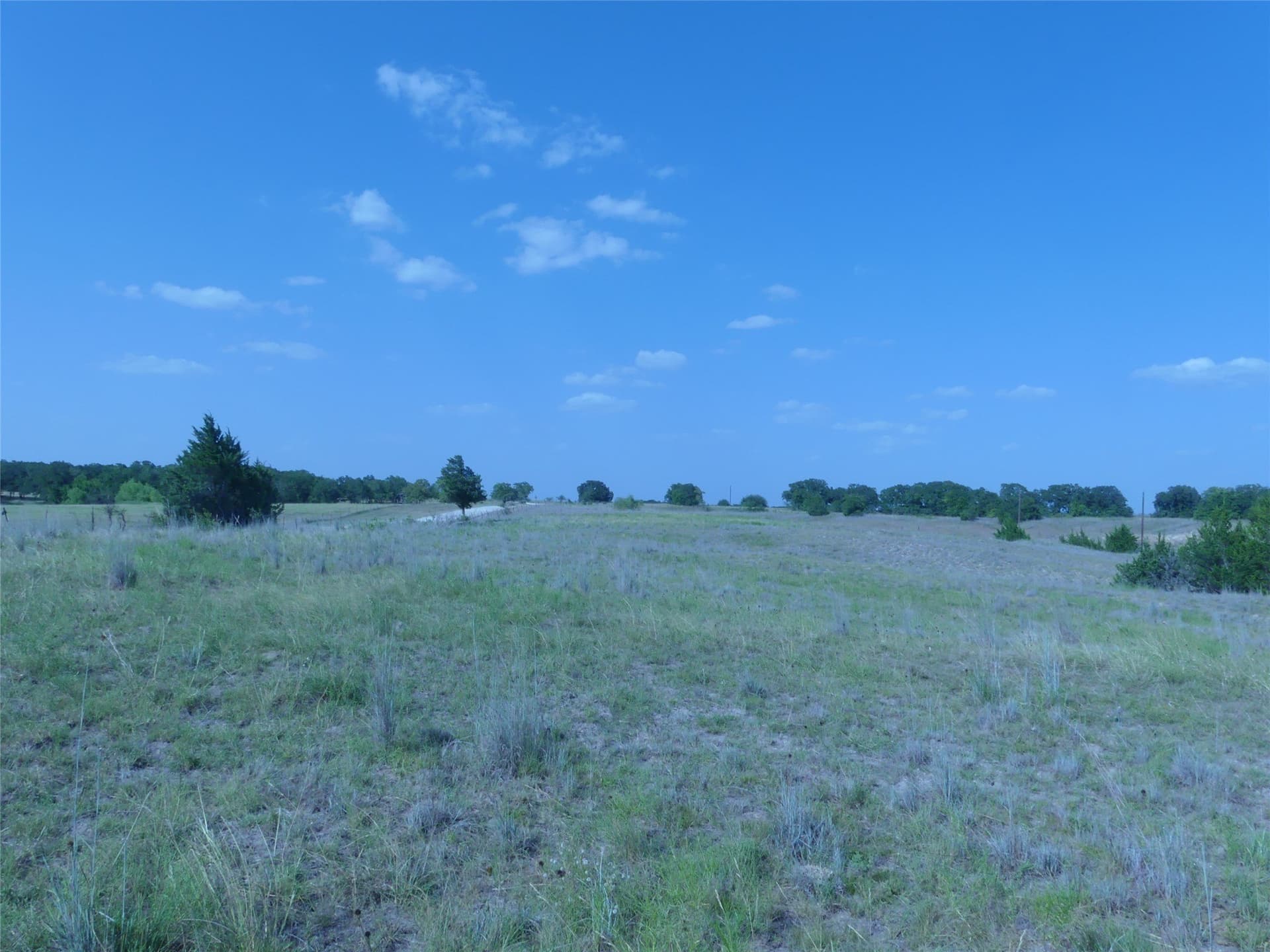 29.76 acres in Montague County - photo 33