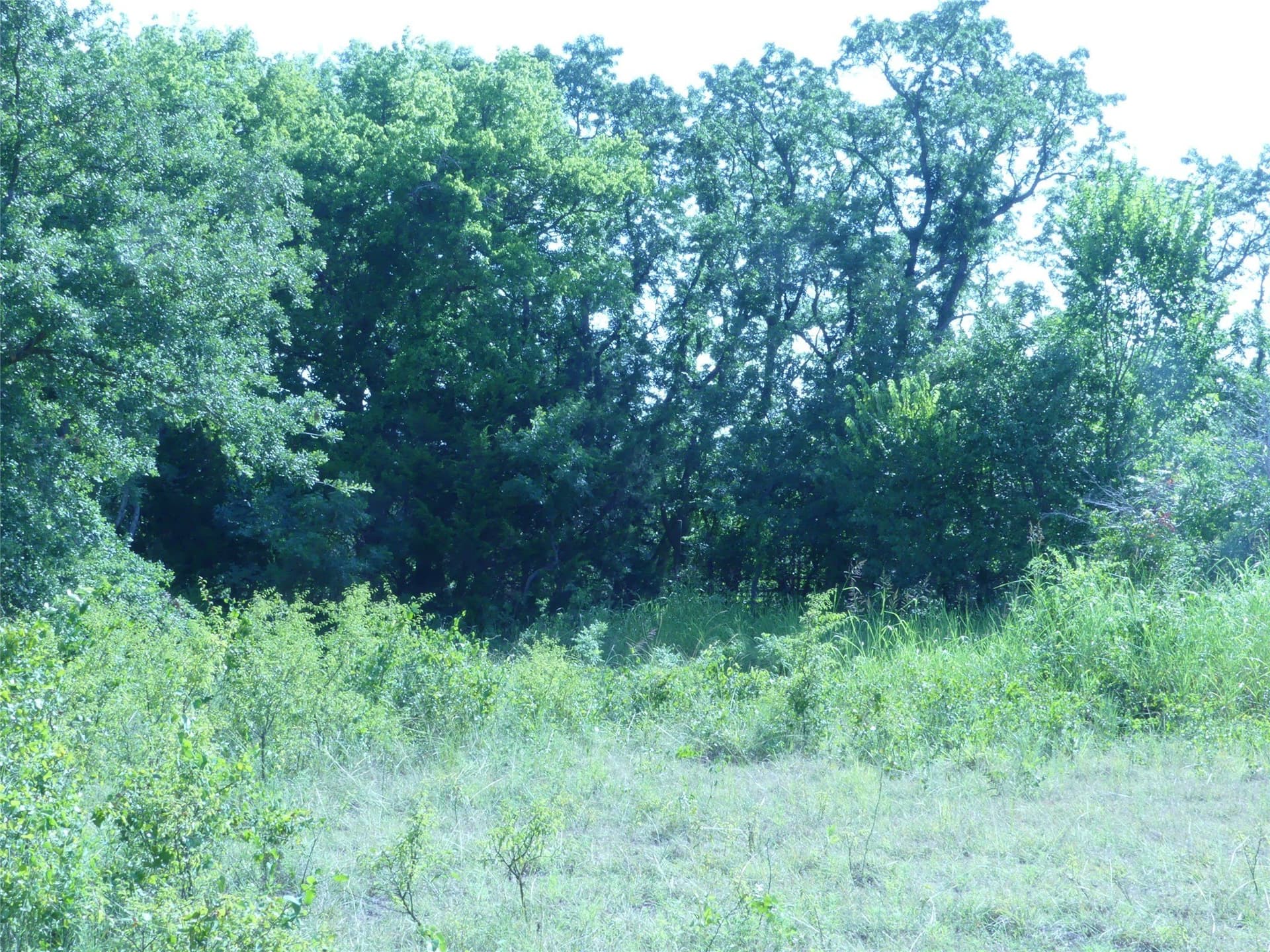 29.76 acres in Montague County - photo 20