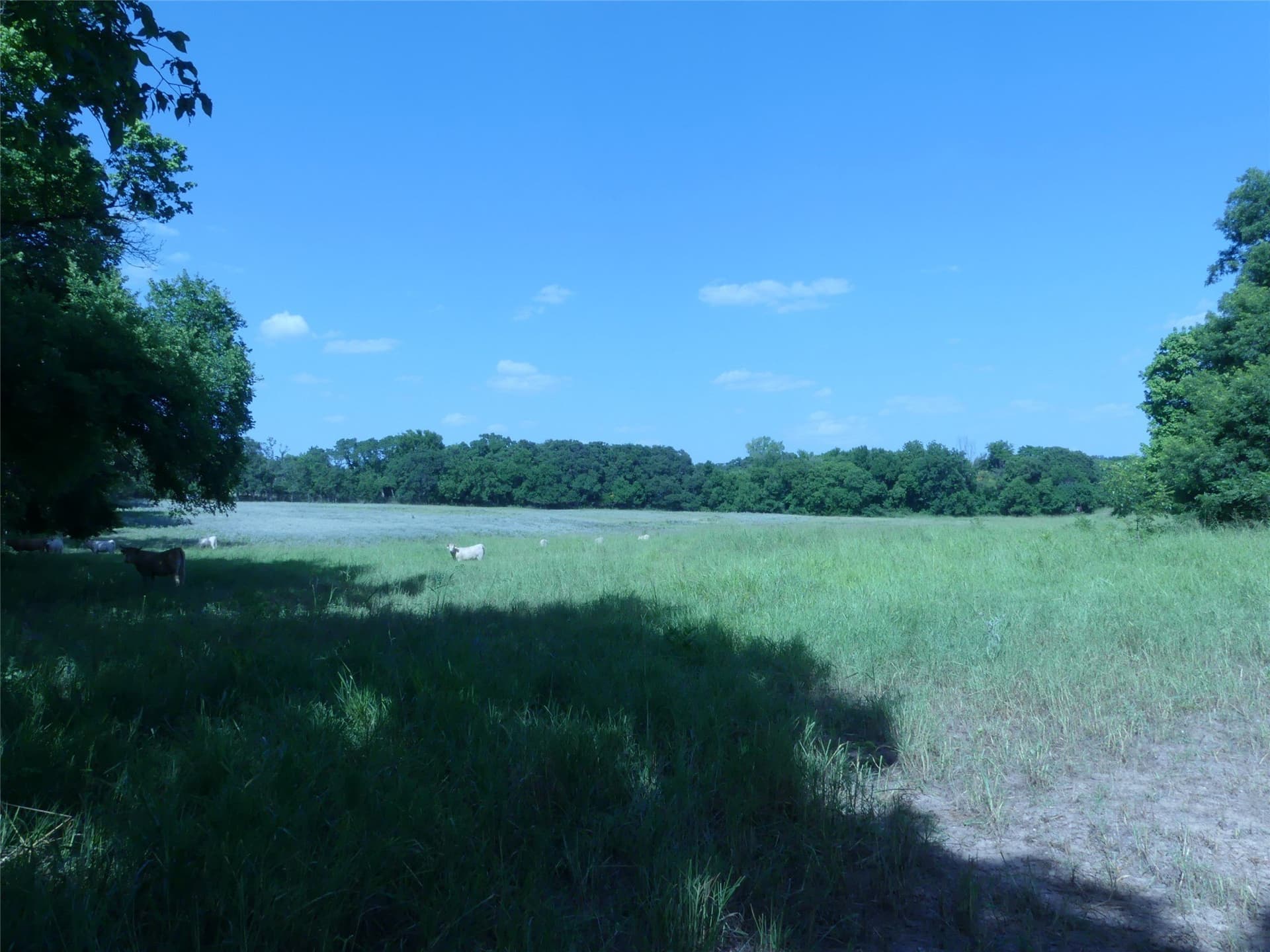 29.76 acres in Montague County - photo 7