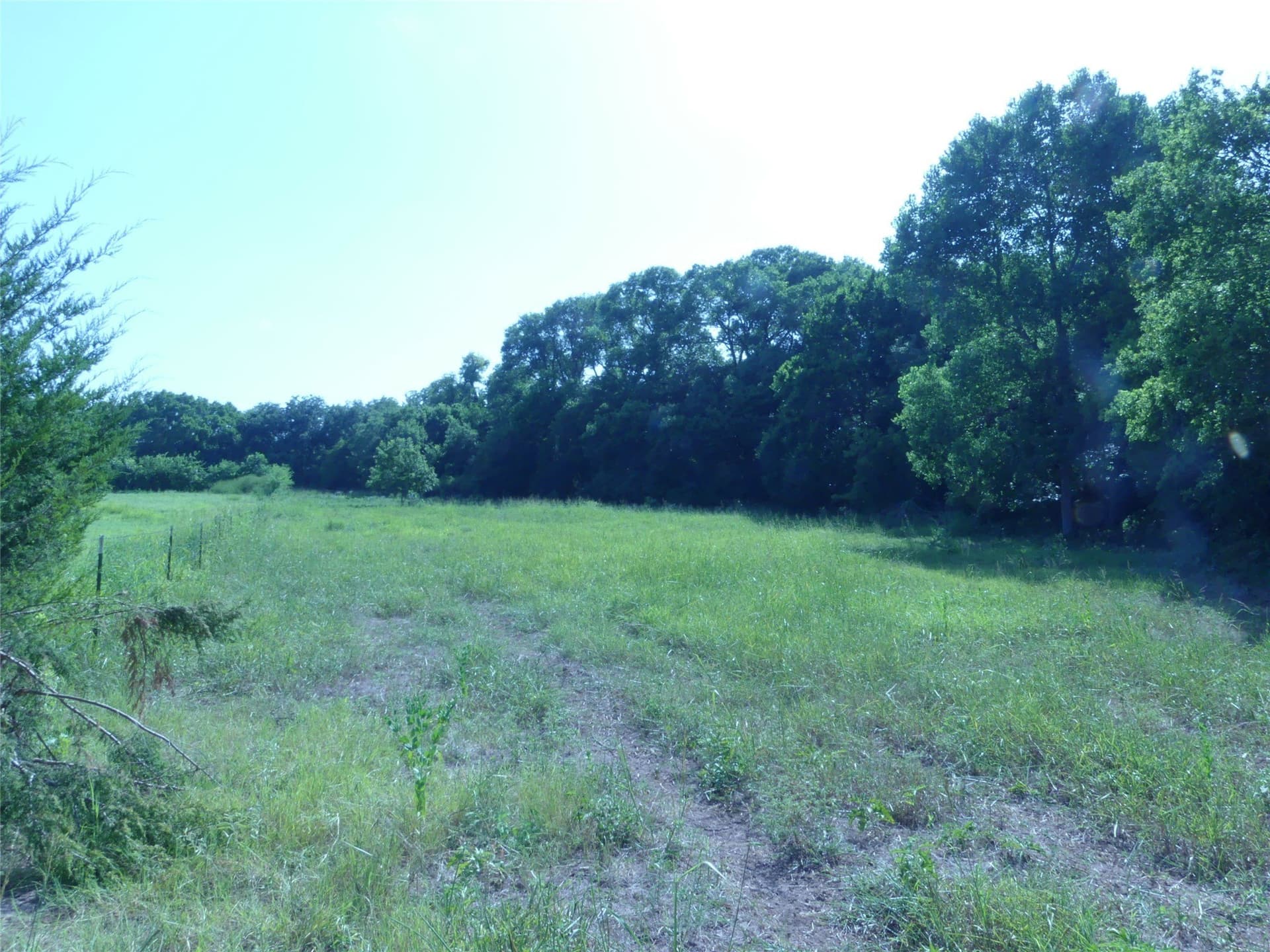 29.76 acres in Montague County - photo 29