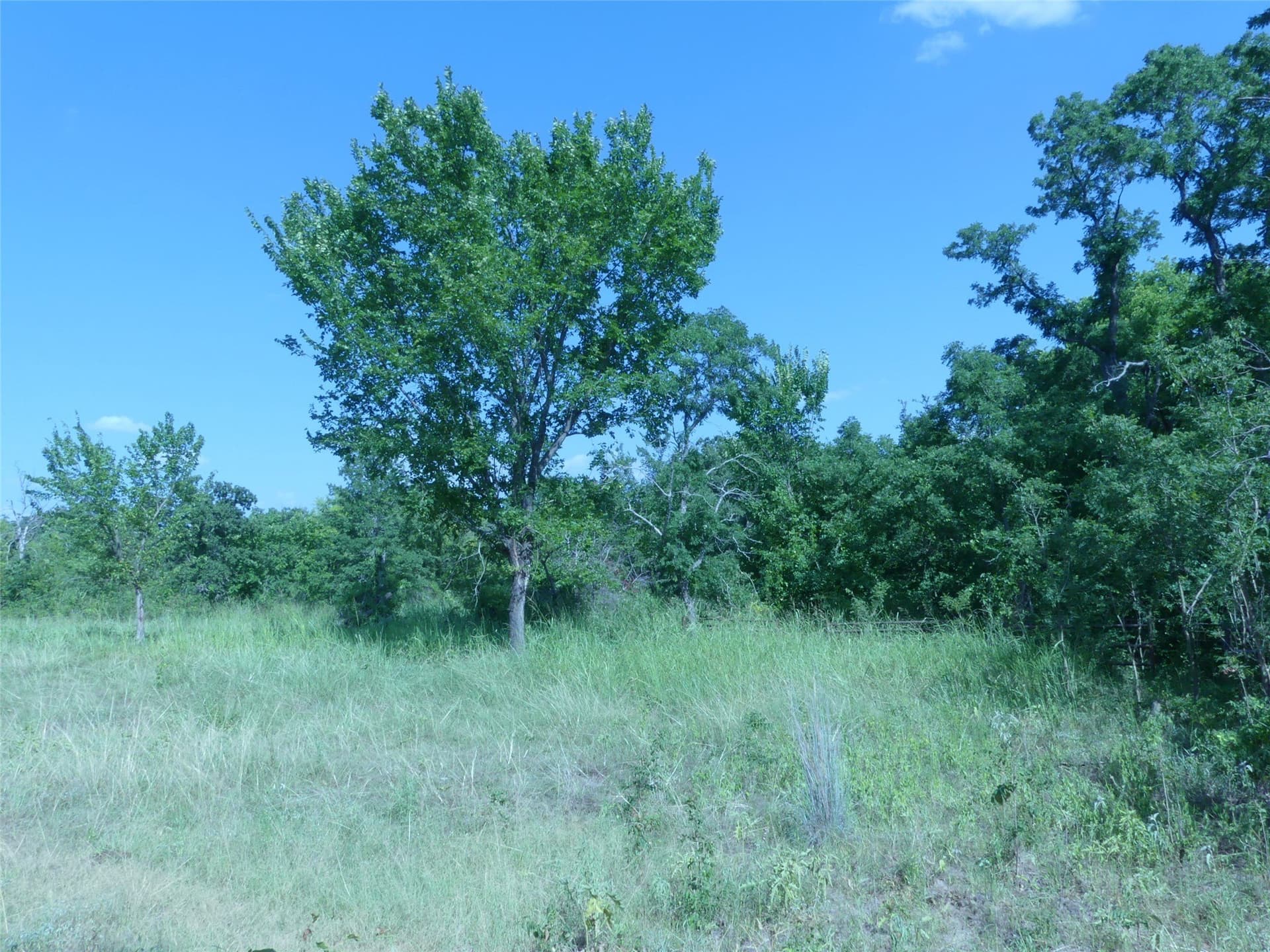 29.76 acres in Montague County - photo 15