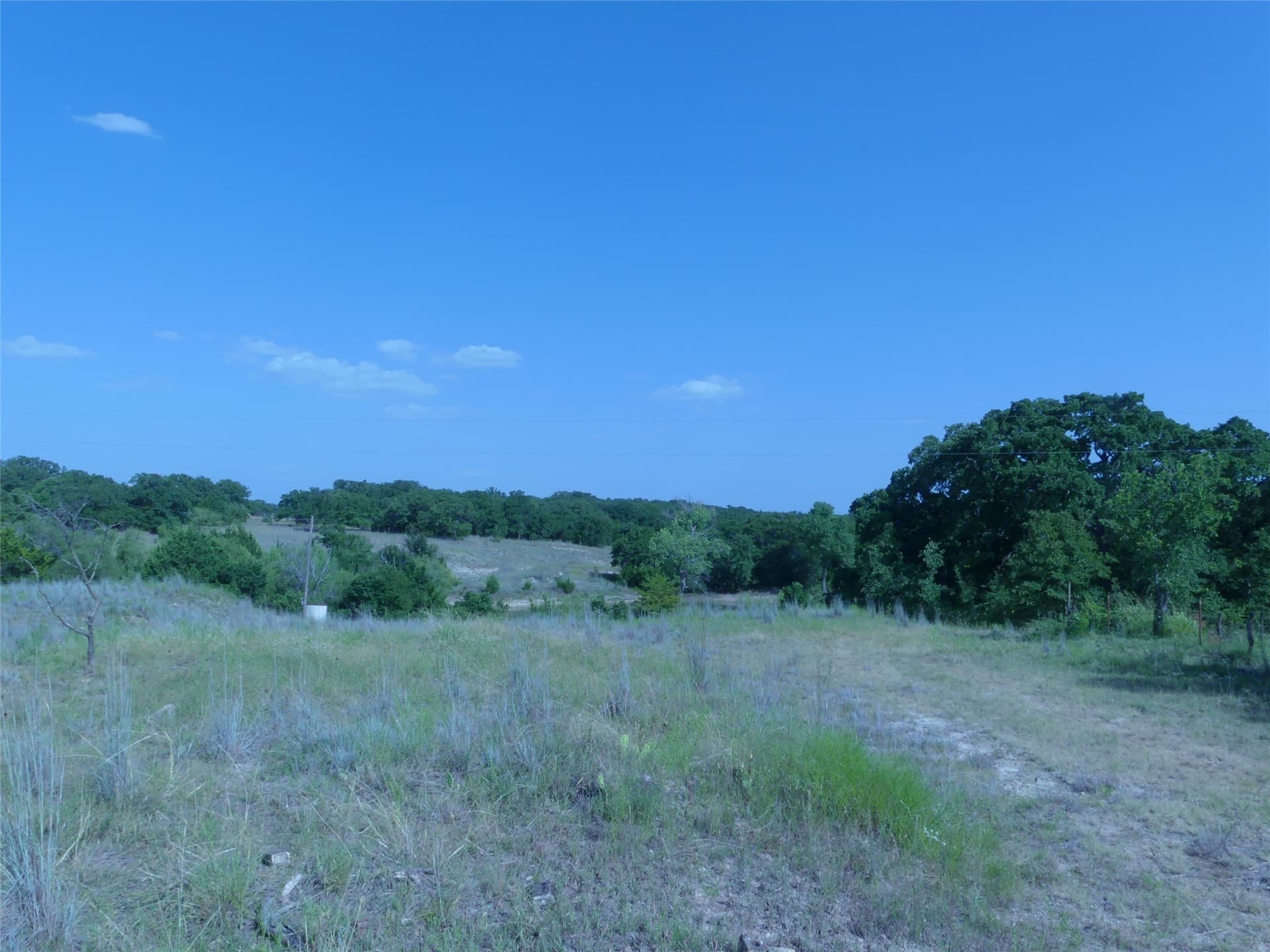 29.76 acres in Montague County - photo 35