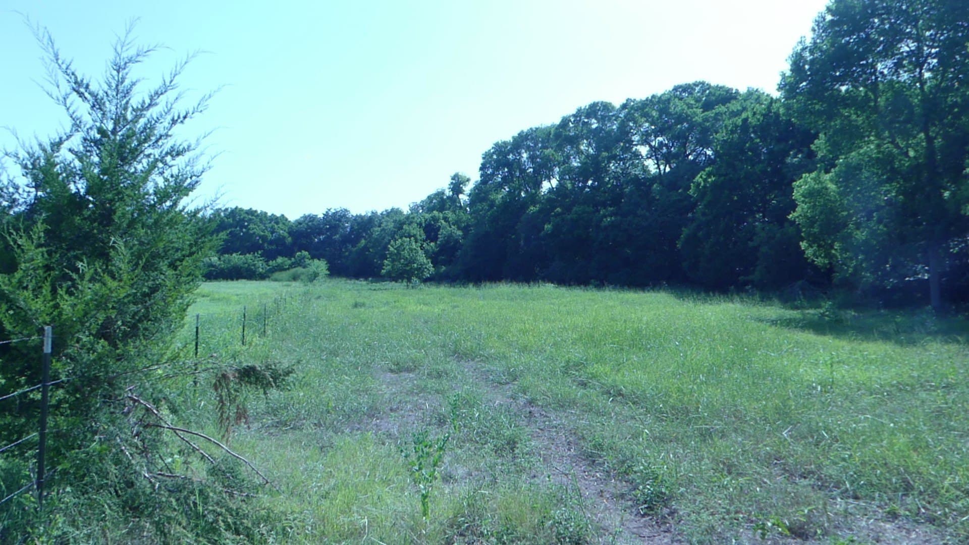 29.76 acres in Montague County - photo 28