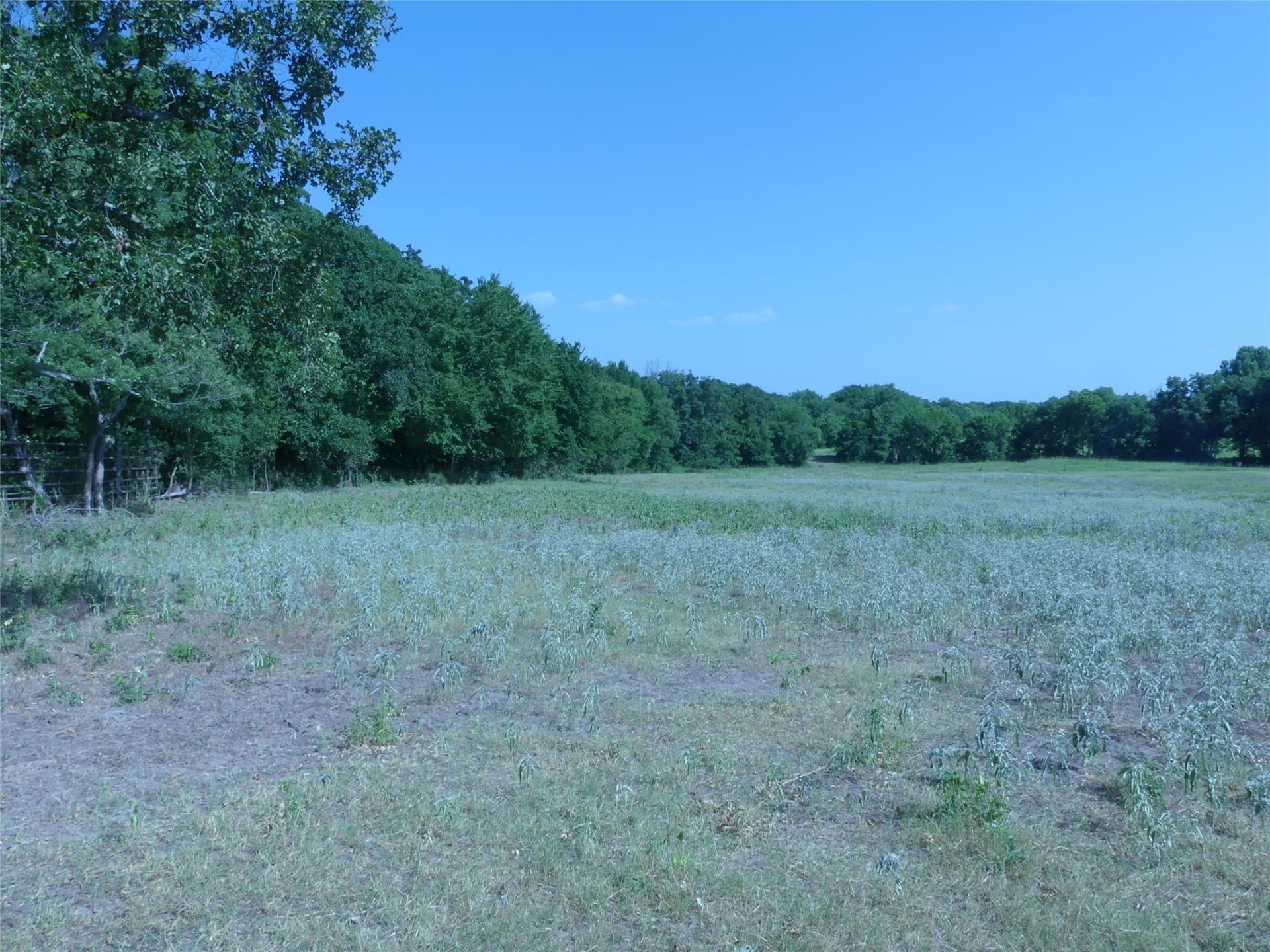 29.76 acres in Montague County - photo 11