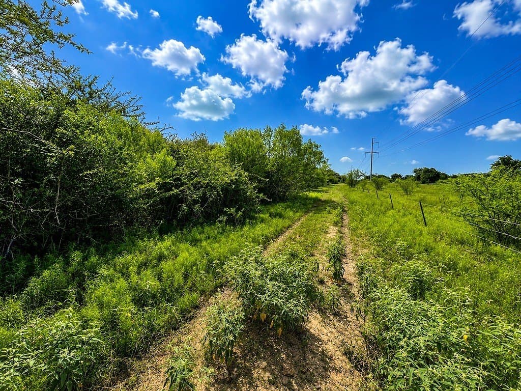 7.31 acres in Colorado County - photo 11