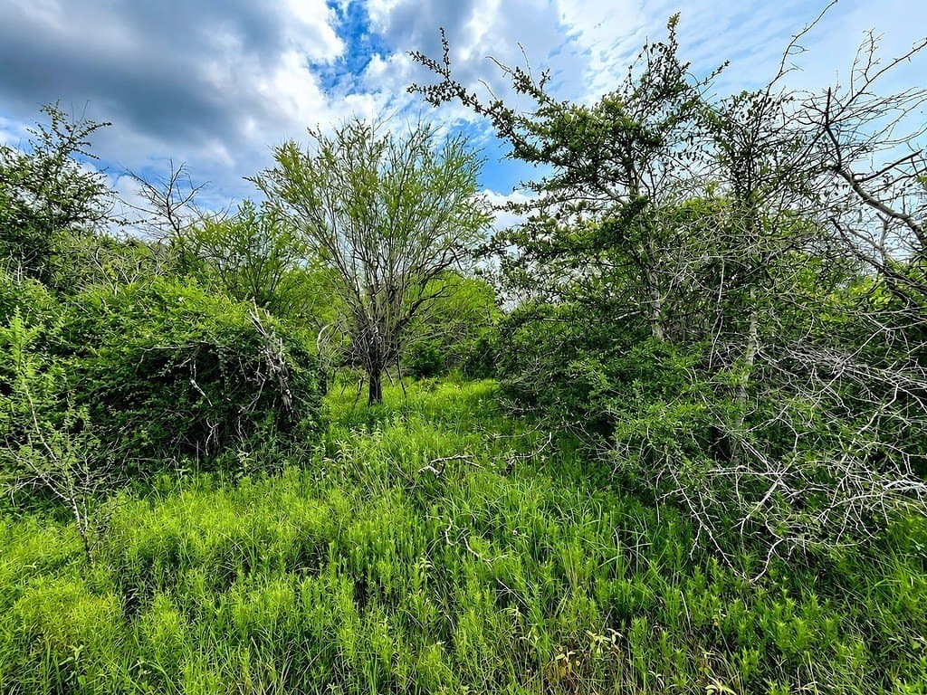 7.31 acres in Colorado County - photo 10