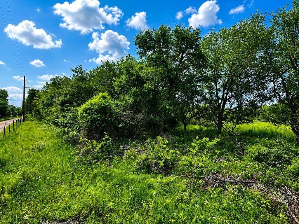 7.31 acres in Colorado County gallery image 2